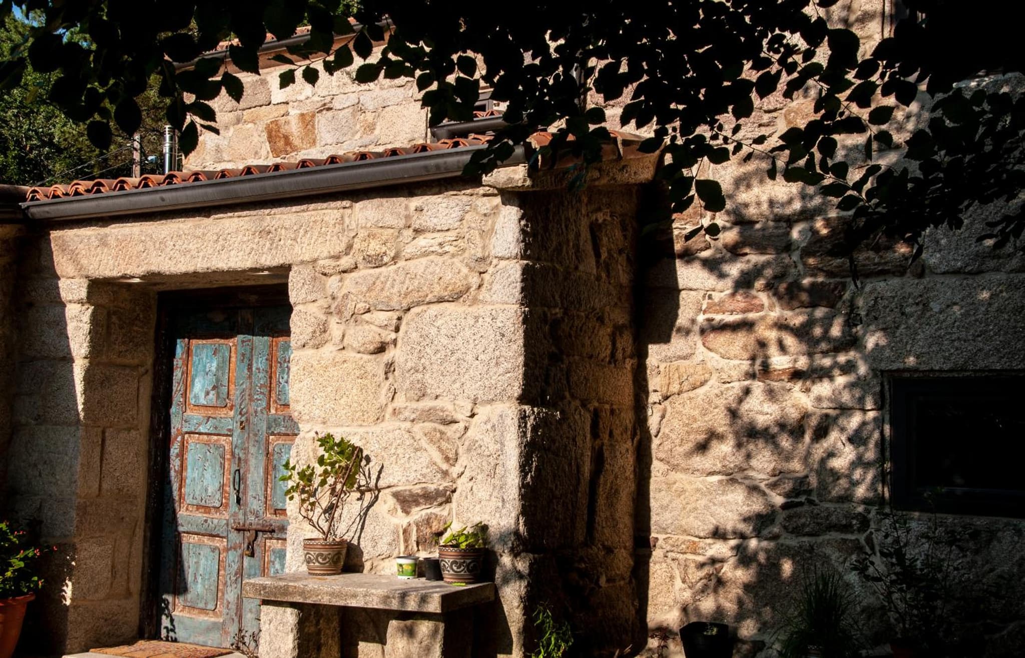 Casa D'Mina photo 7