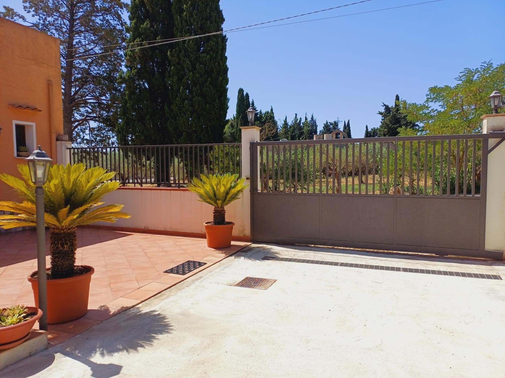 La Mimosa di Erice photo 6
