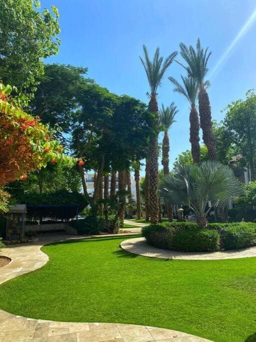 The Royal park experience Amazing Pool Eilat photo 3