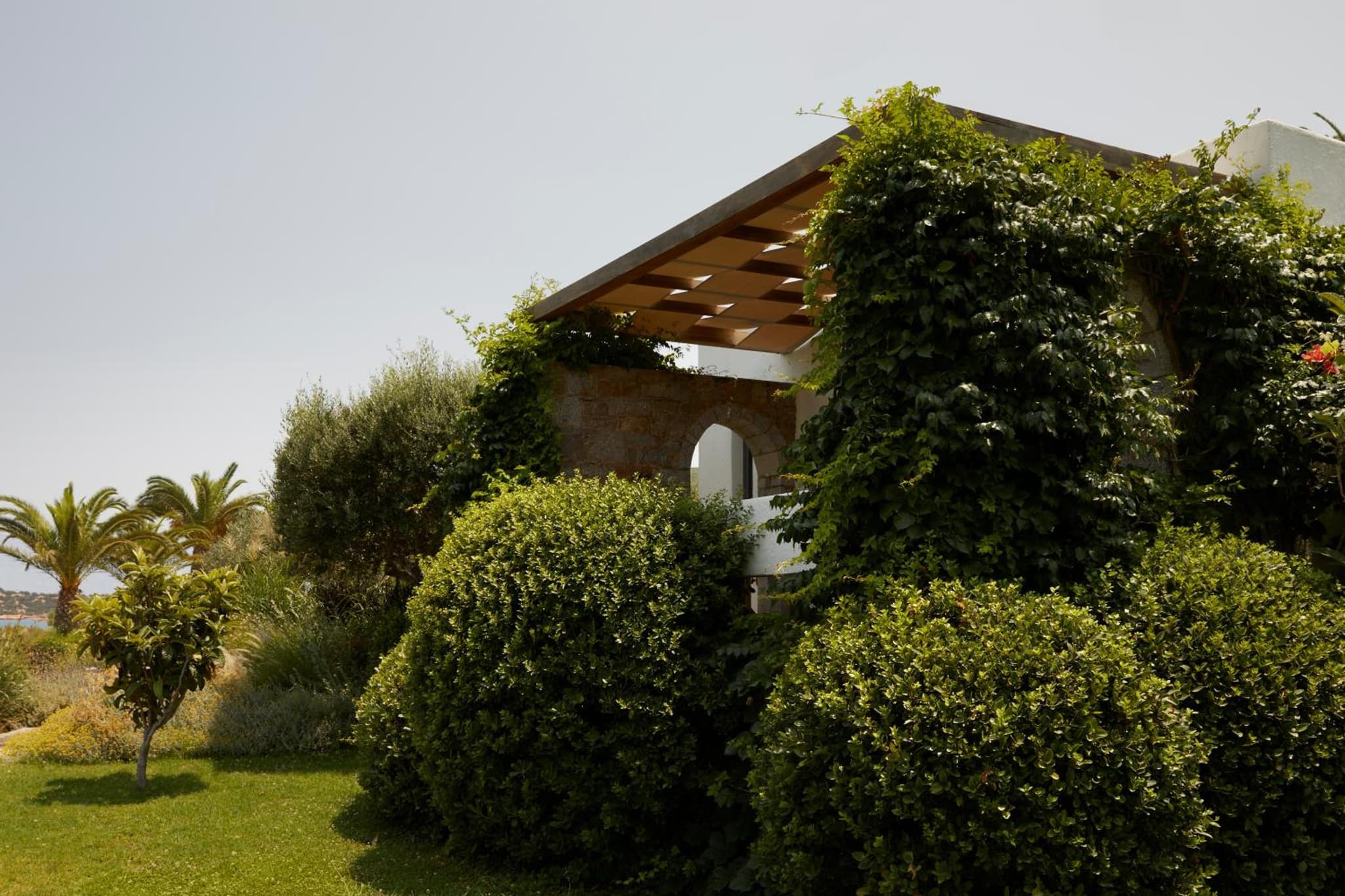 Minos Palace Resort - Adults Only photo 8