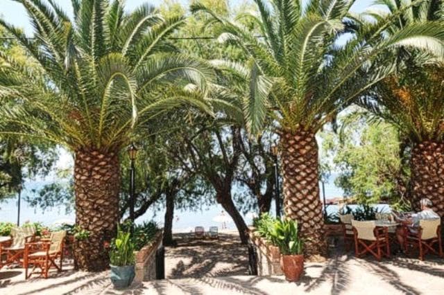 Hotel Molyvos I photo 3