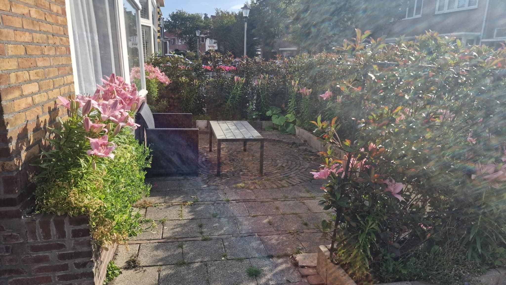Guesthouse Zandvoort photo 7