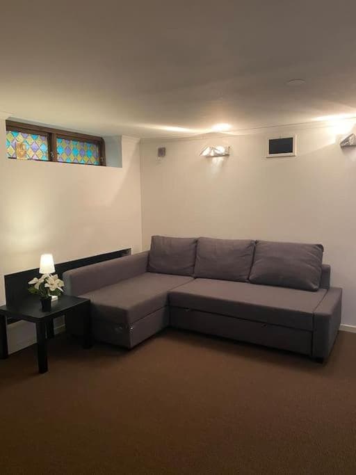Entire Basement Level in Eneby photo 5