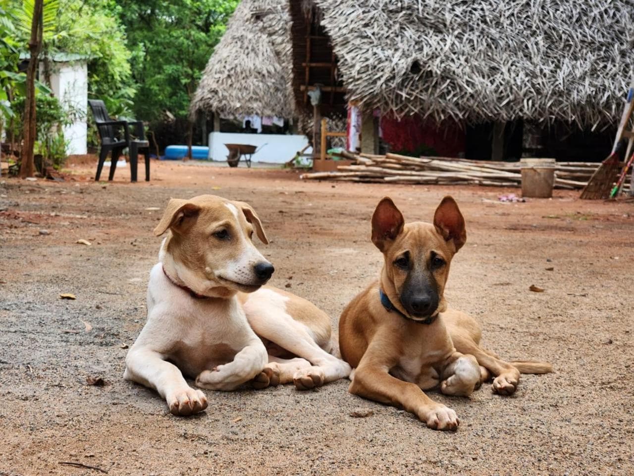 Nebula Nest Cafe & Hostel photo 8
