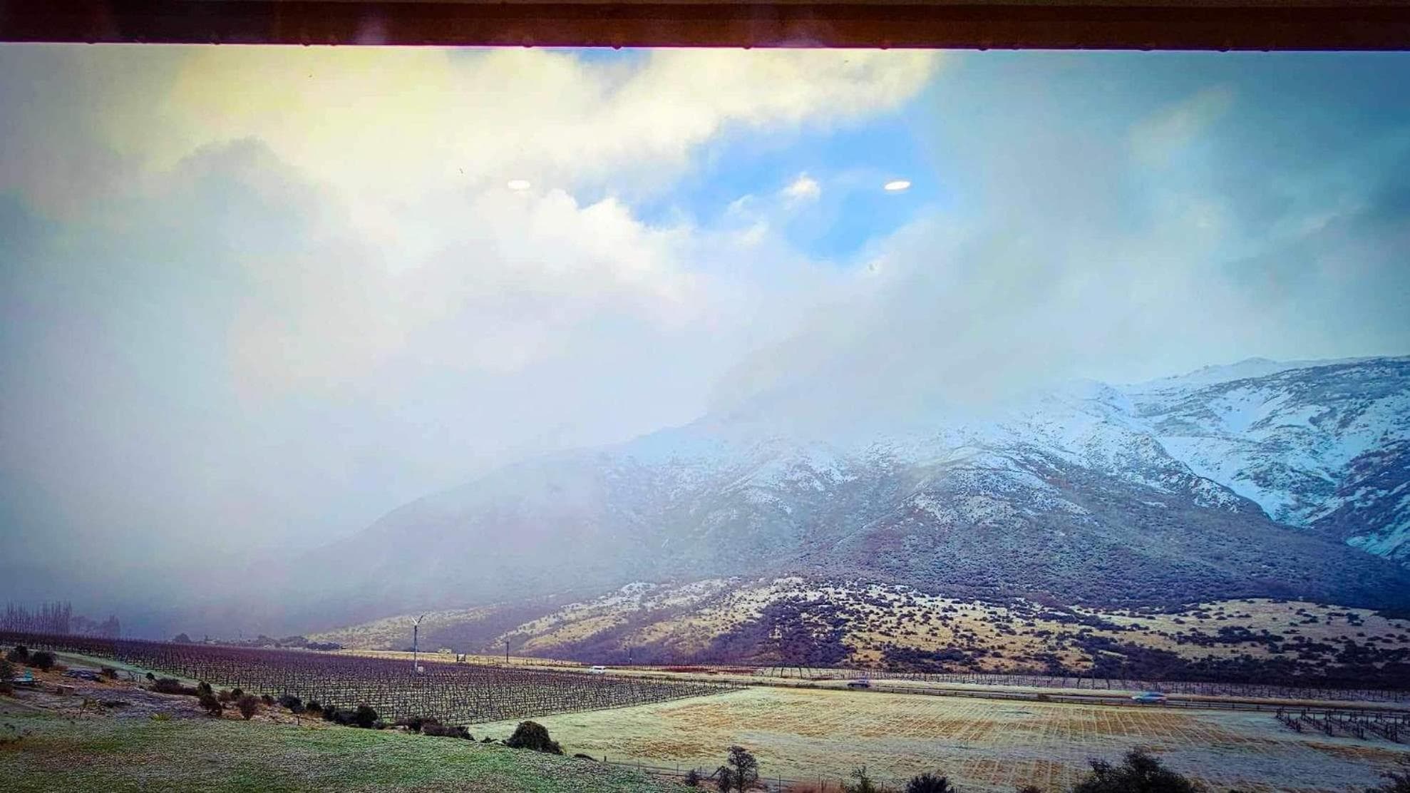 The Vines - Gibbston photo 7