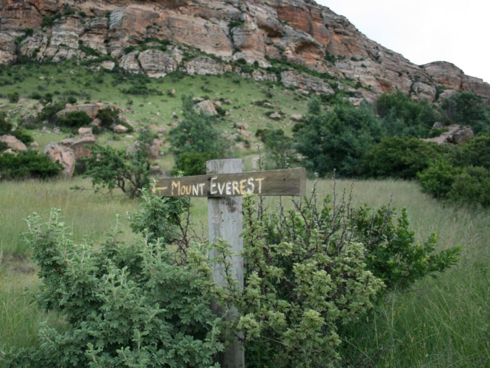 Mount Everest Guest Farm photo 6