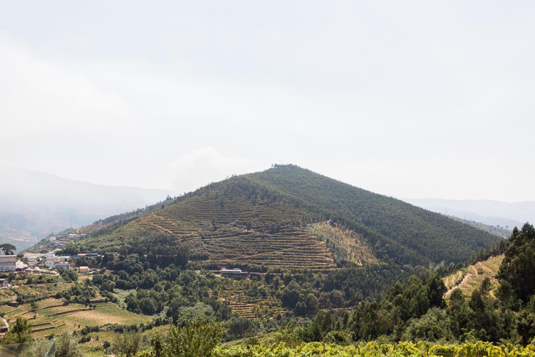 Quinta Do Bosque photo 8