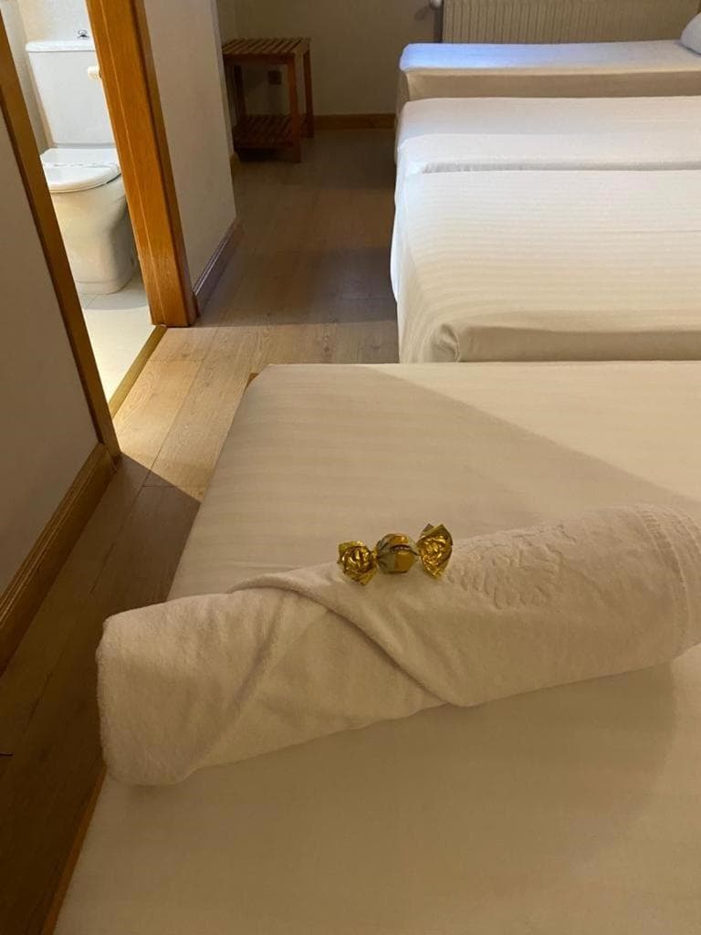 Hotel Carbayon photo 4
