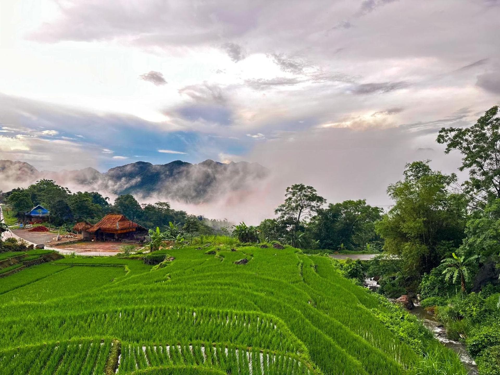 Pu Luong Jungle Lodge photo 6