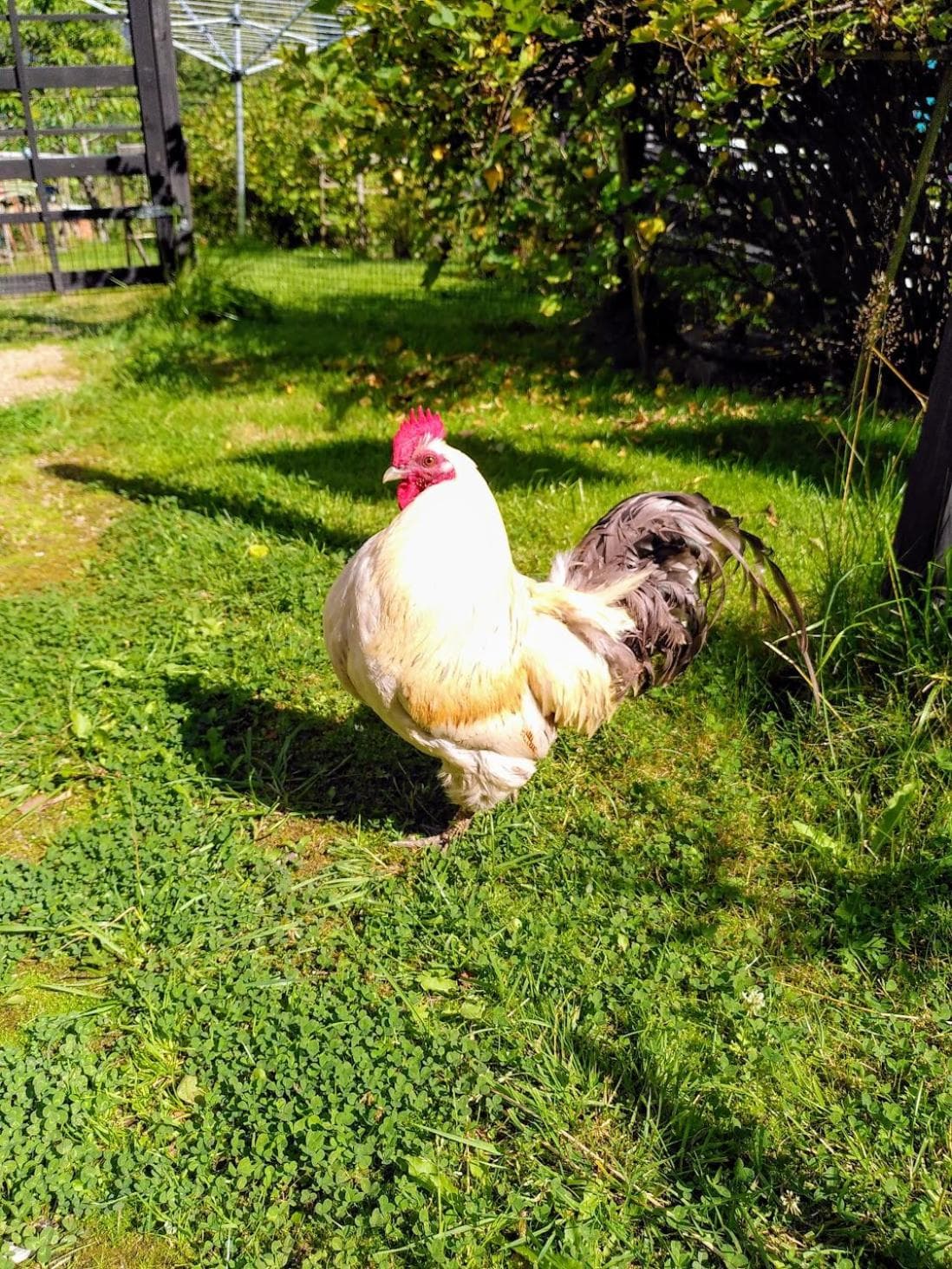 Lägenhet naturnära i Henån photo 9
