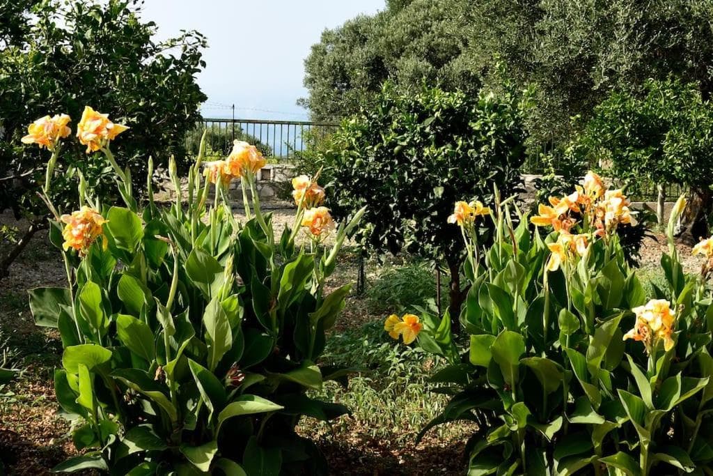 Villa Andrew photo 6