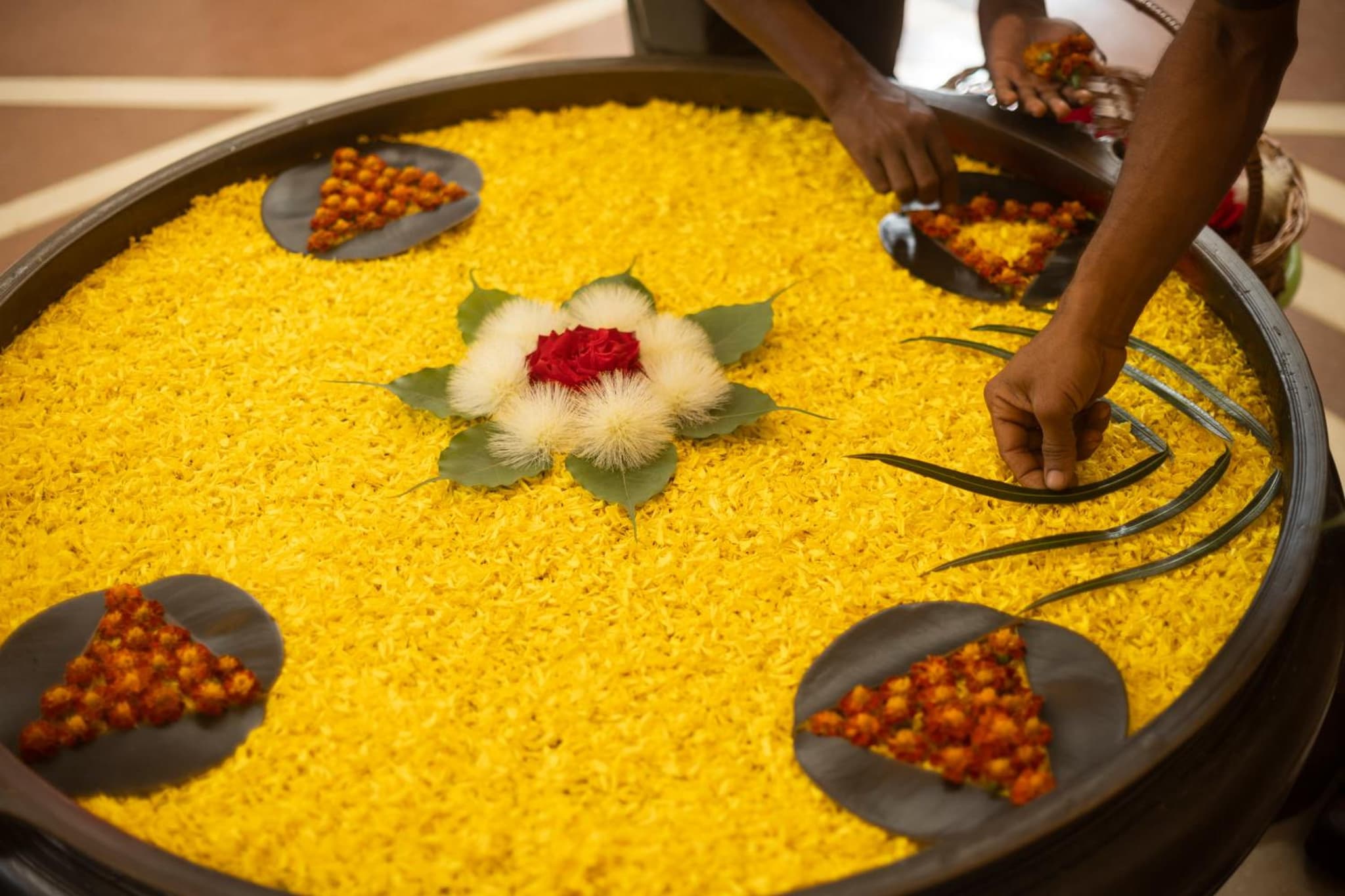 Trident Bhubaneswar photo 7