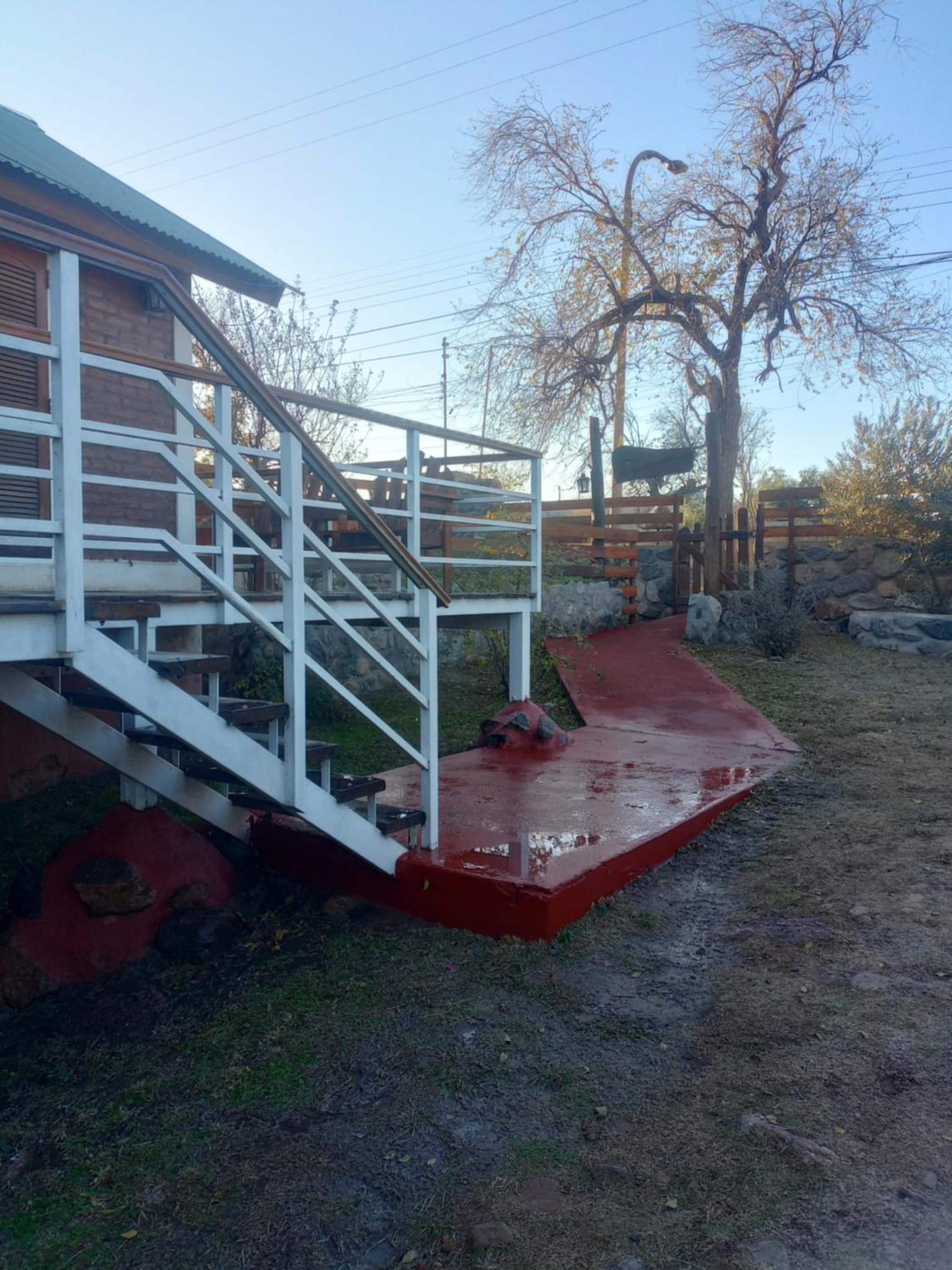 Los olivos photo 6