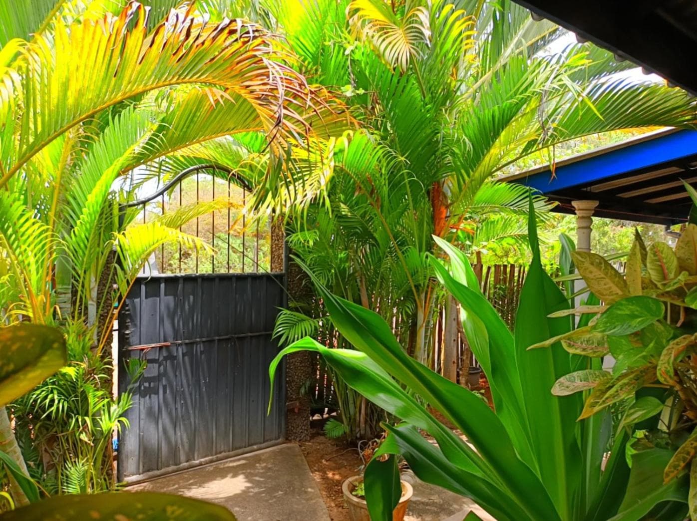 Pranu House photo 3