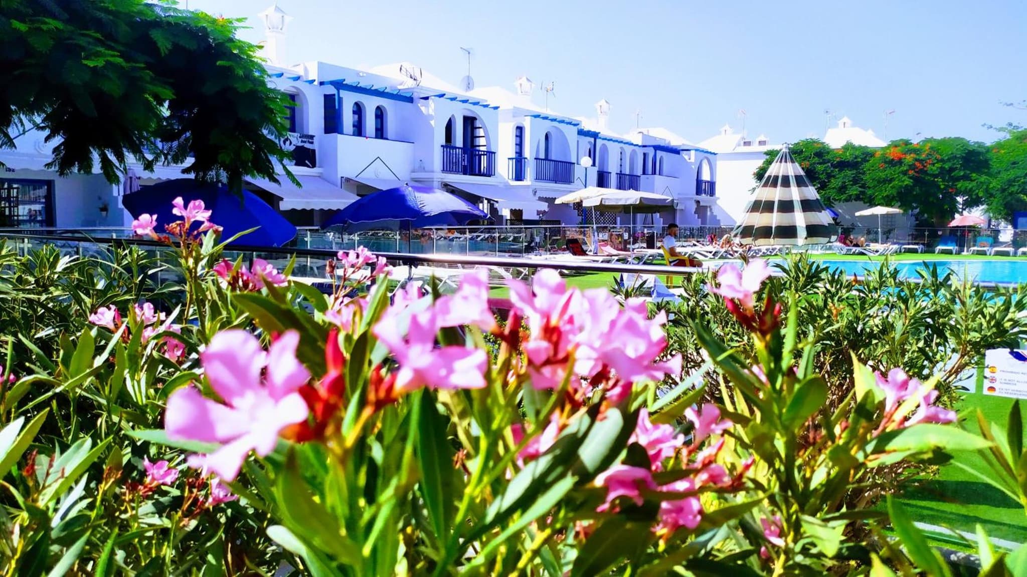 PLAYMAR TROPICAL photo 3