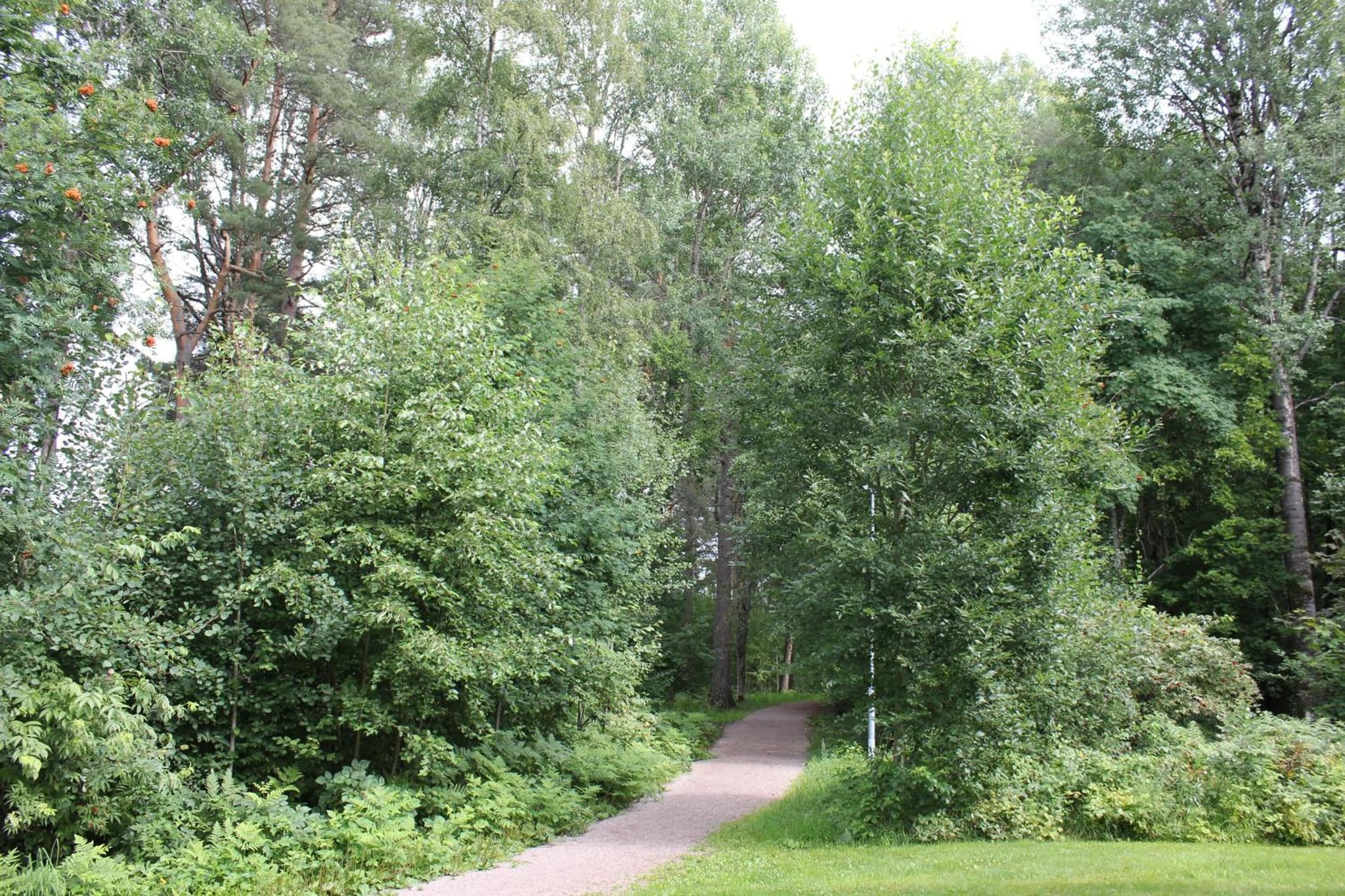 Leksands Folkhögskola photo 6