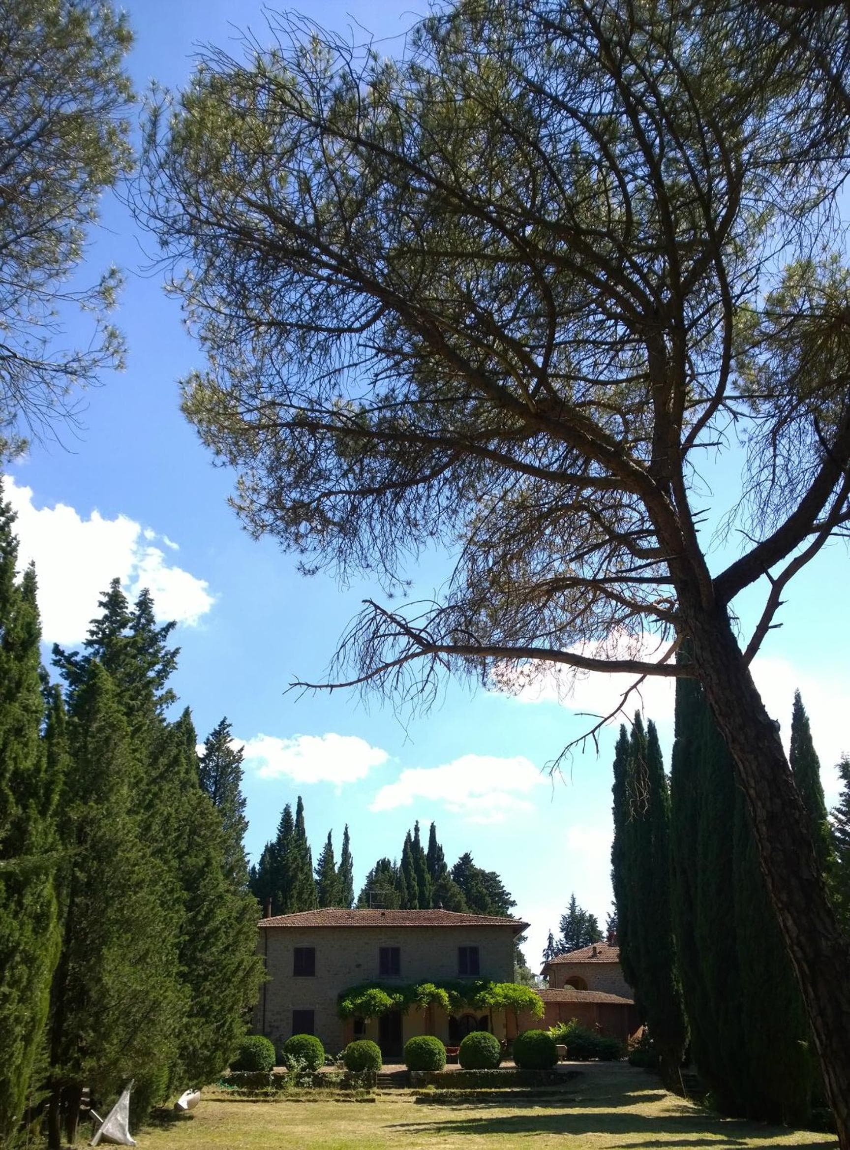 La Scheggia Holiday photo 2