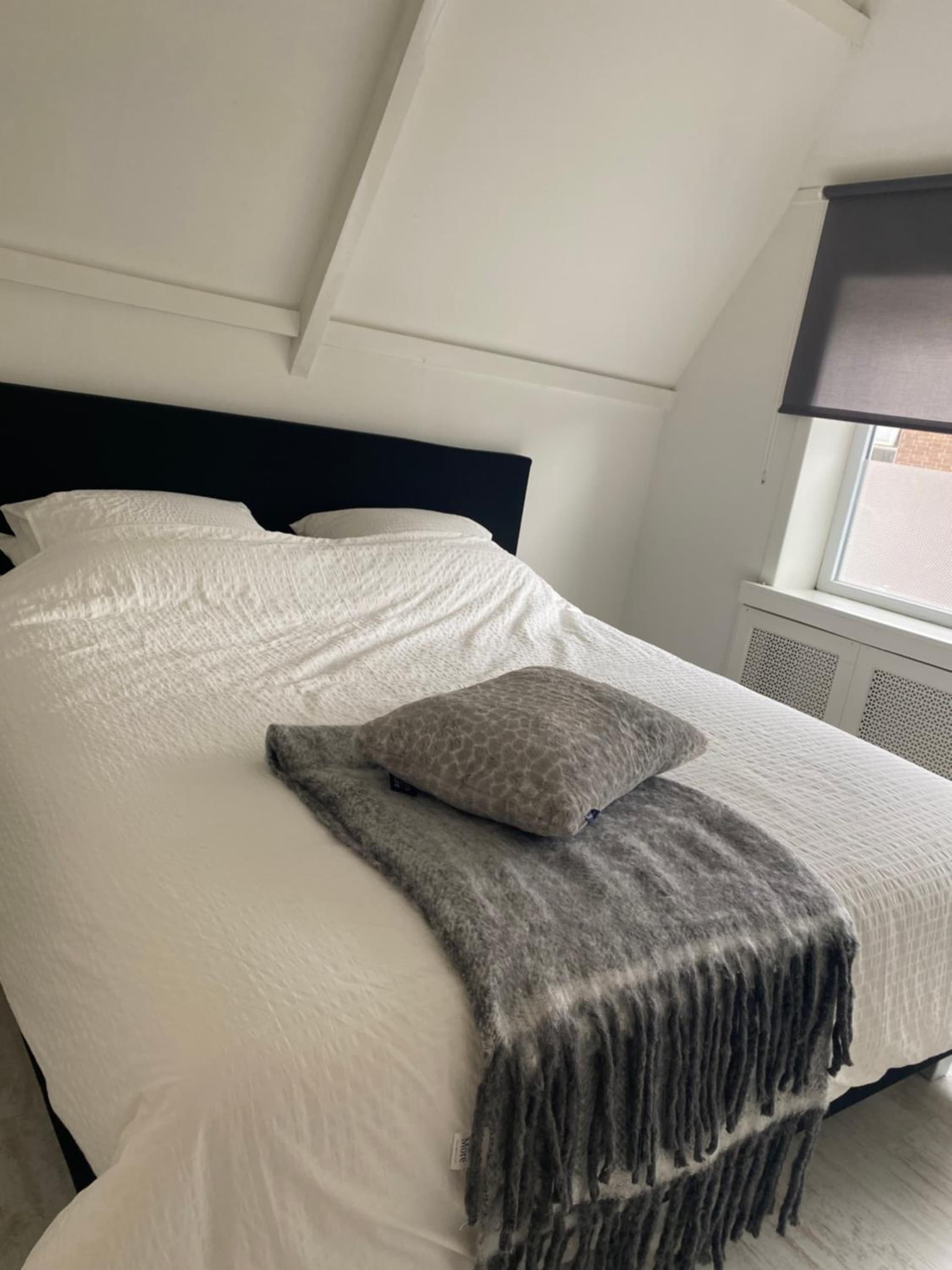 Free Fly Loft Drachten photo 5