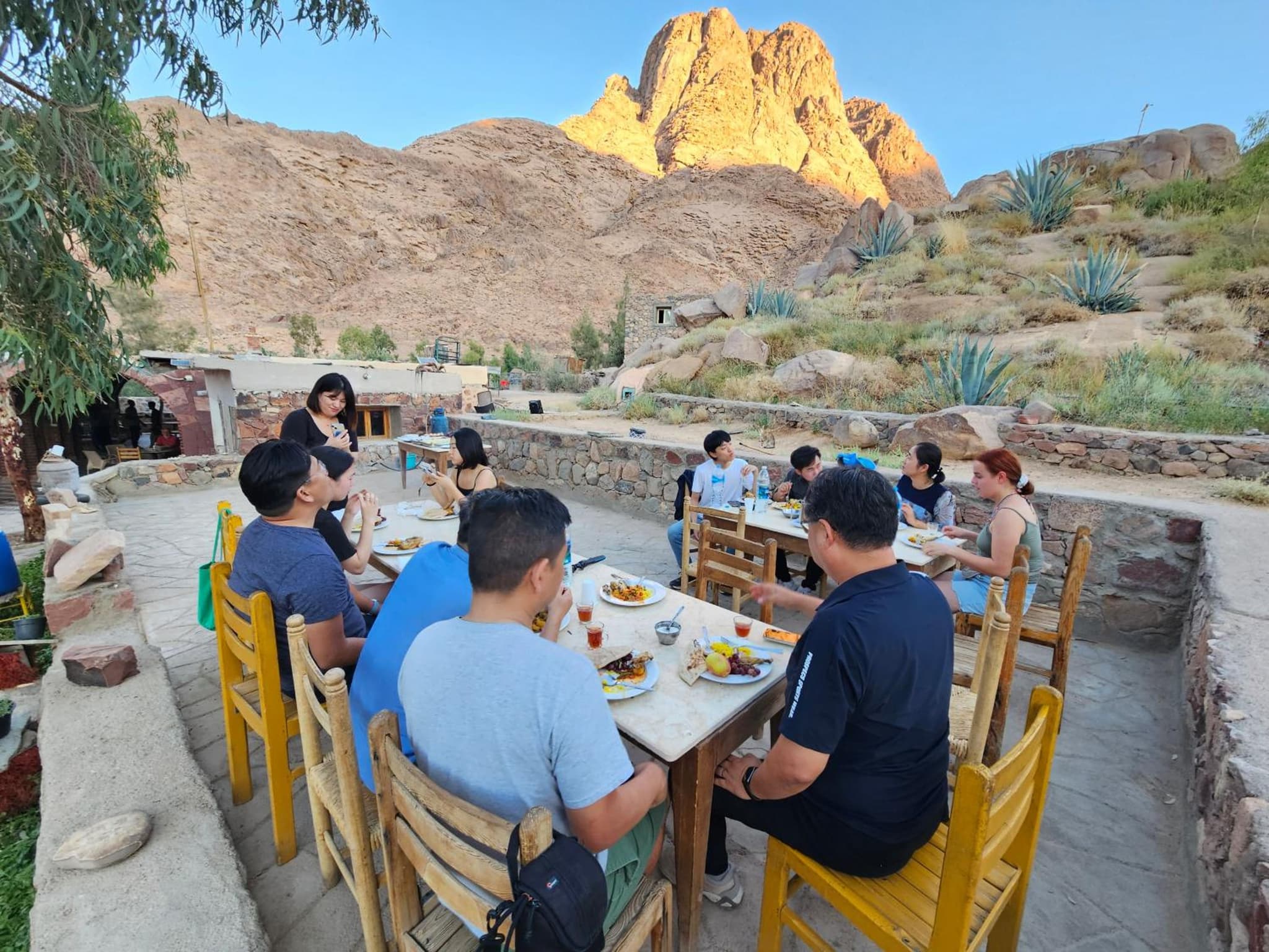 Fox Camp Farag photo 7