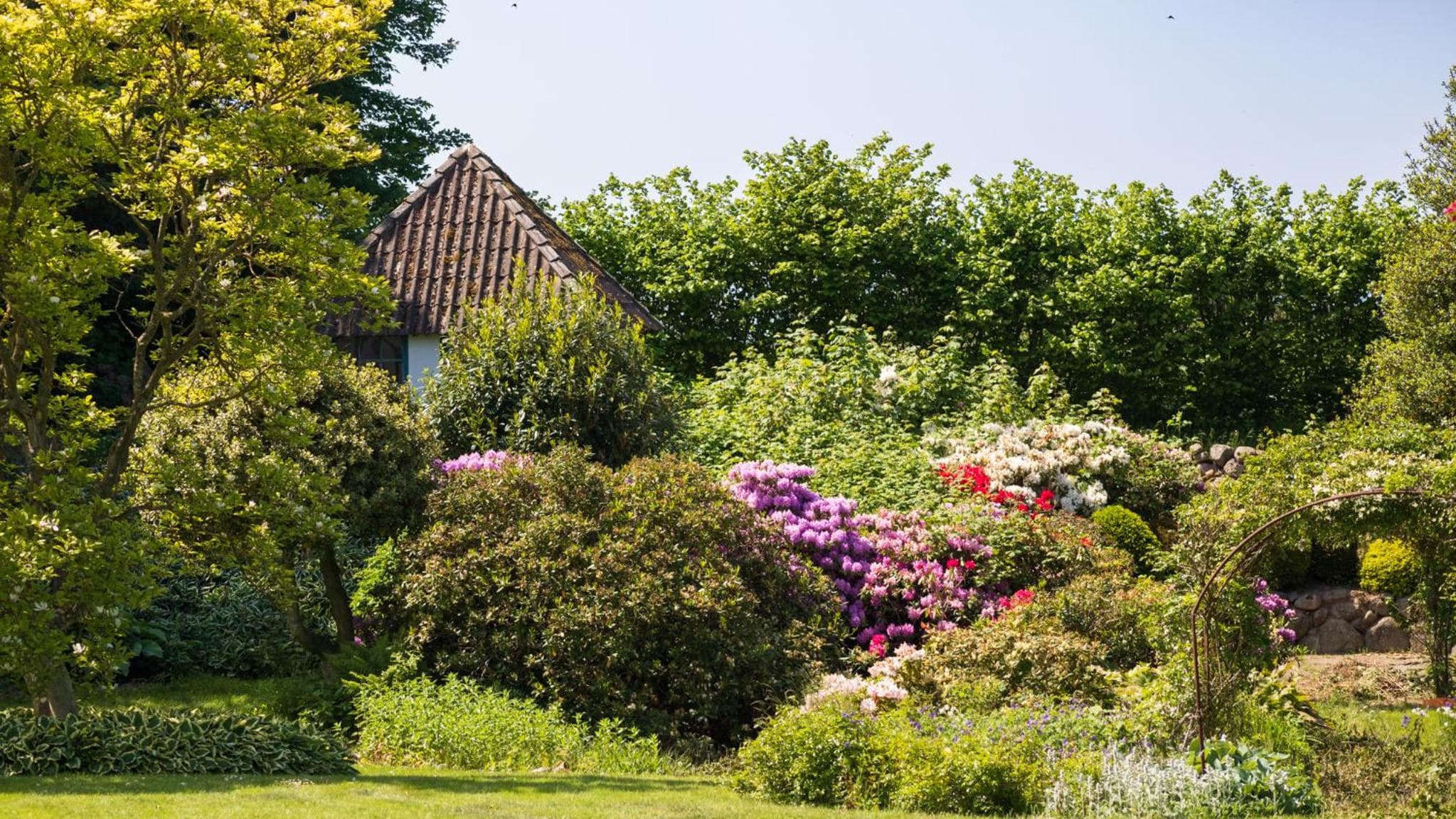 Sjælegård Countryside Lodge photo 6