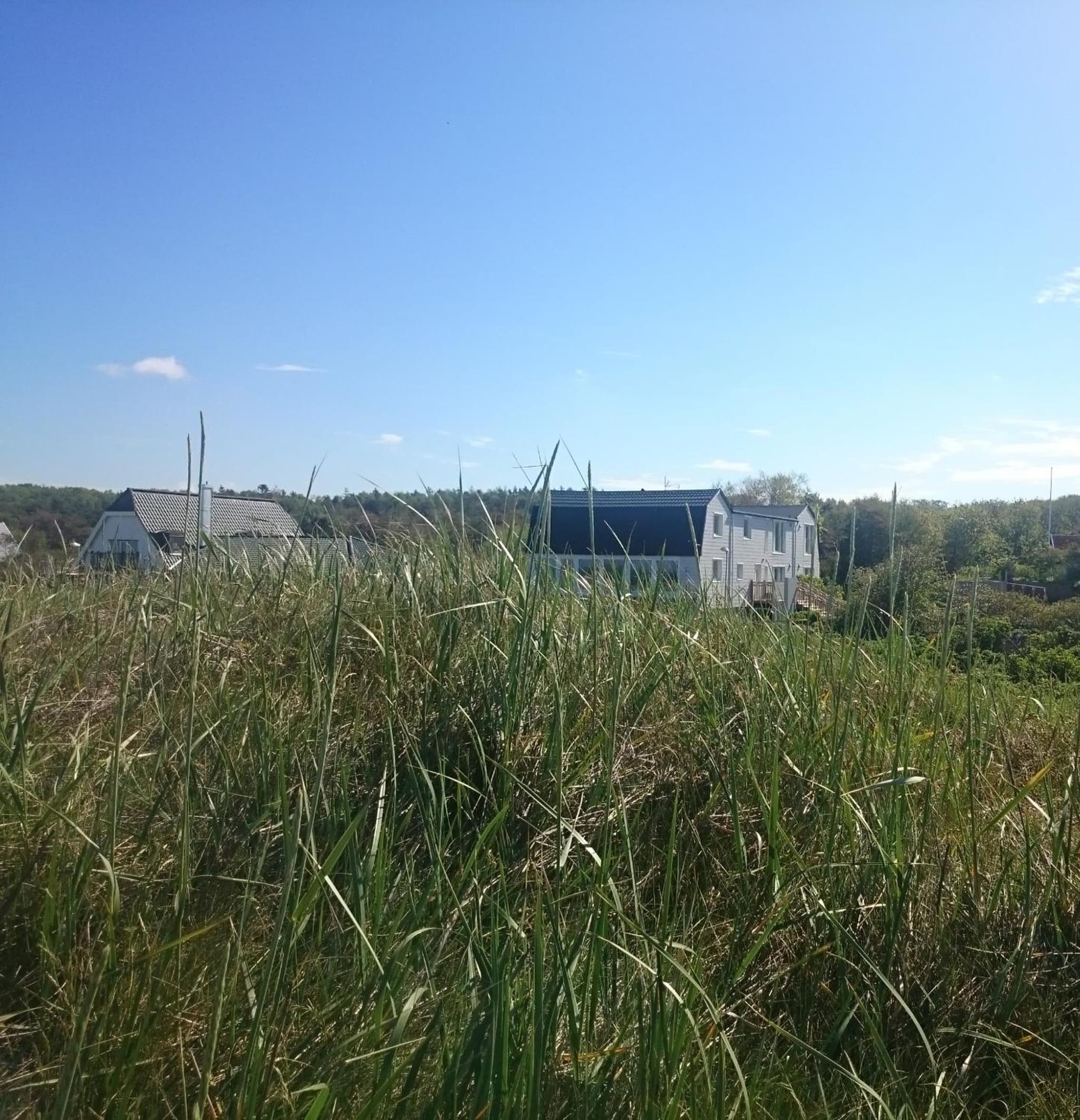 Vejby Strand Hotel photo 5