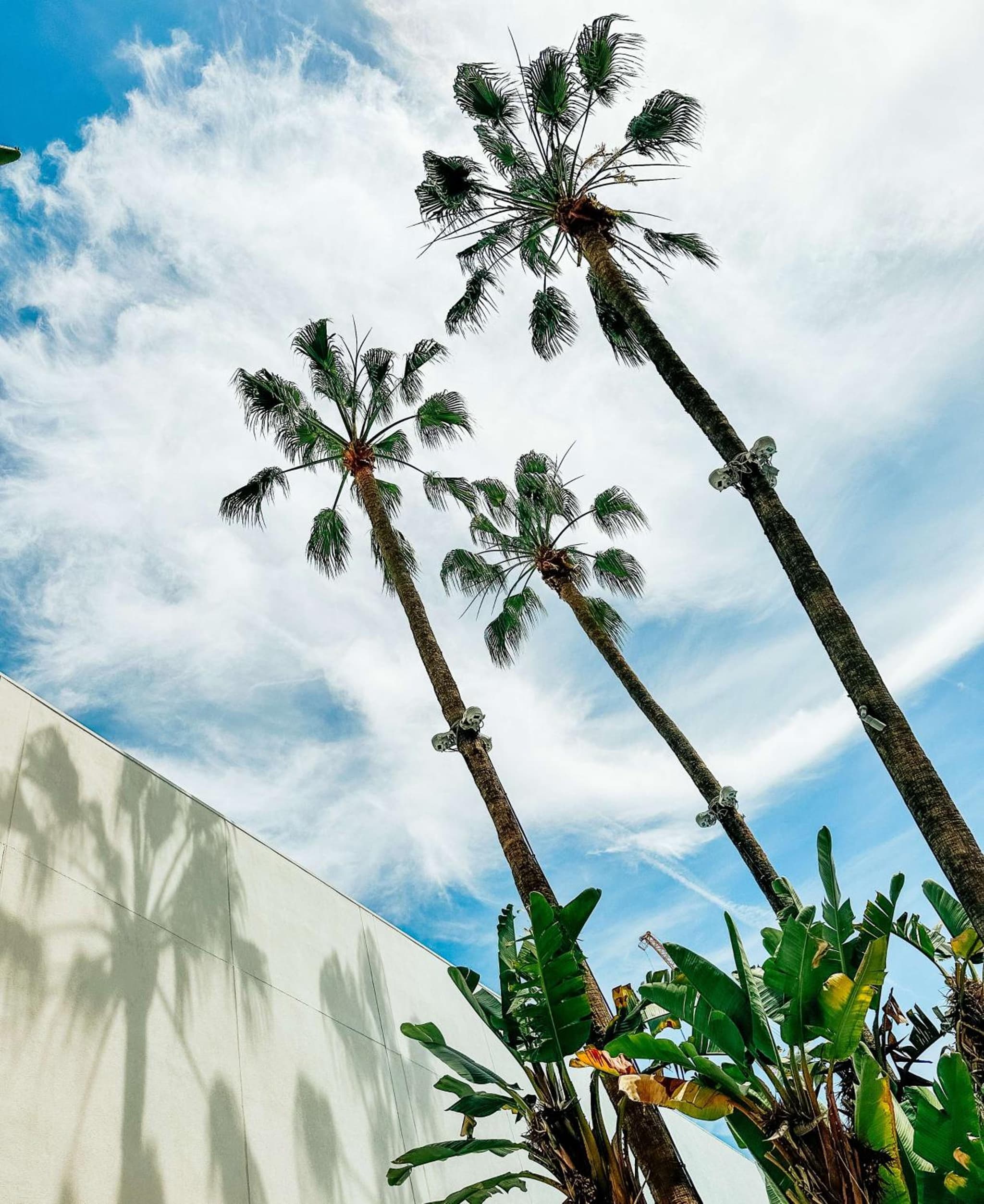 The Beverly Hilton photo 3