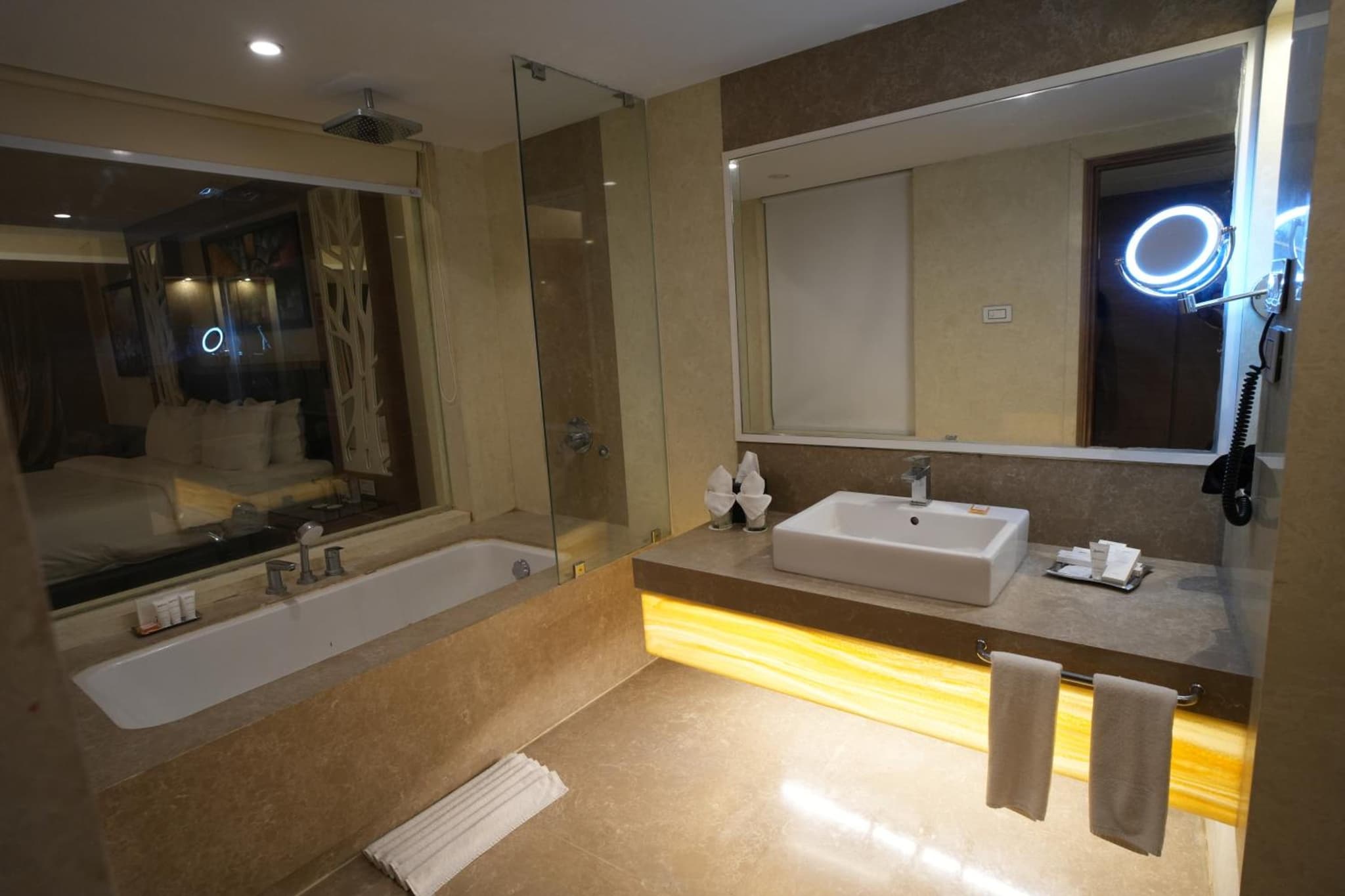 Radisson Udaipur photo 8