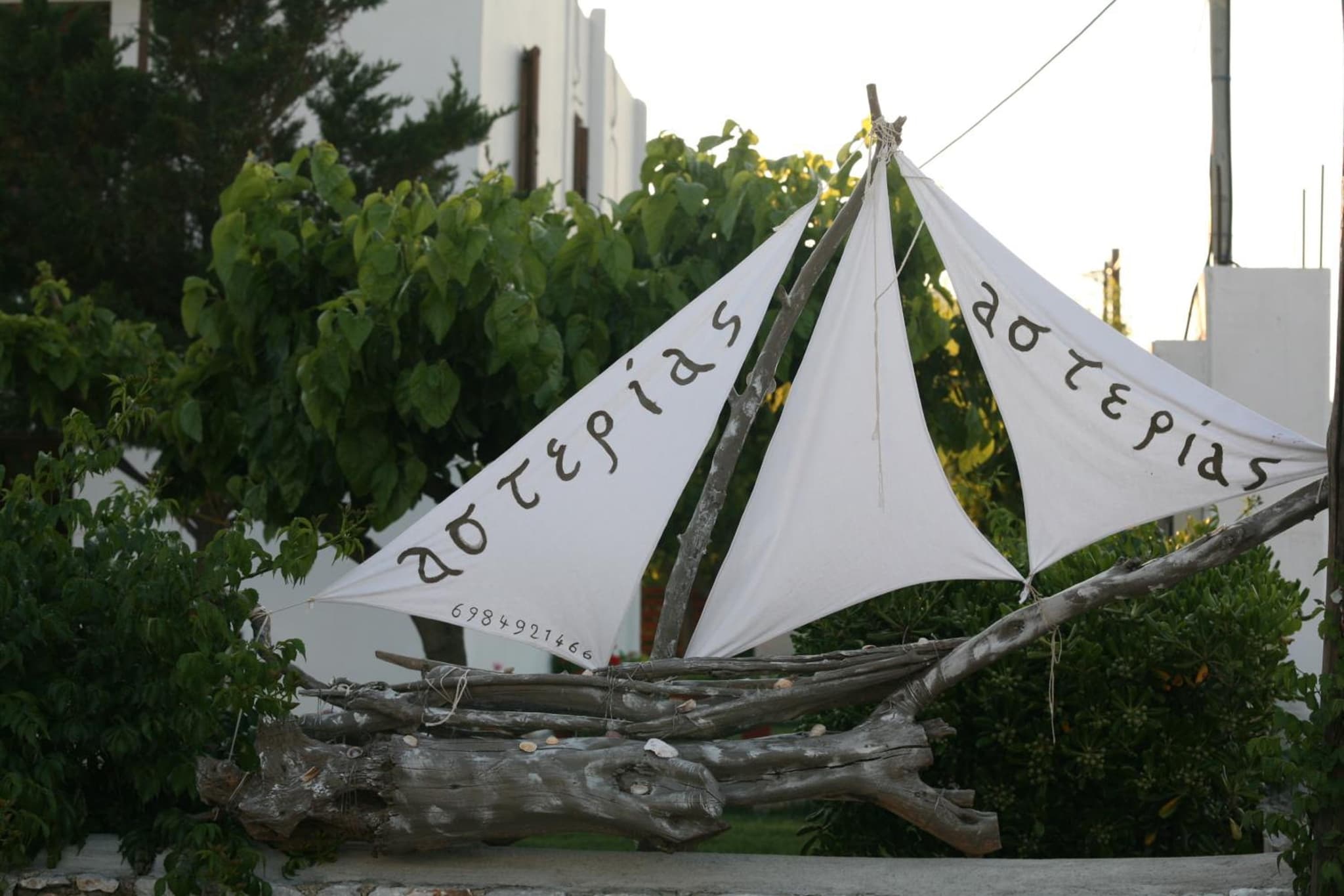 Asterias photo 6