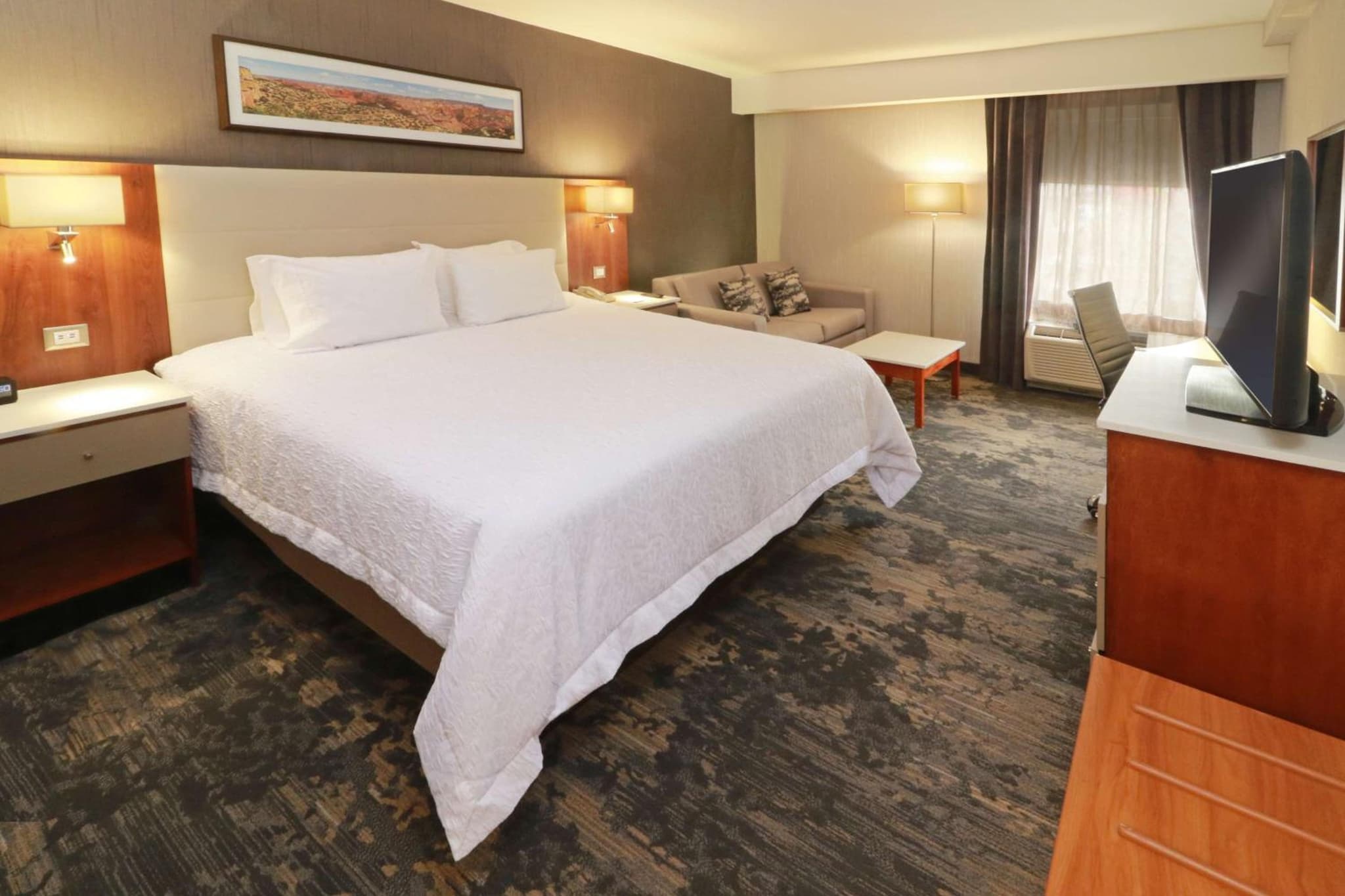 Hampton by Hilton Chihuahua photo 3