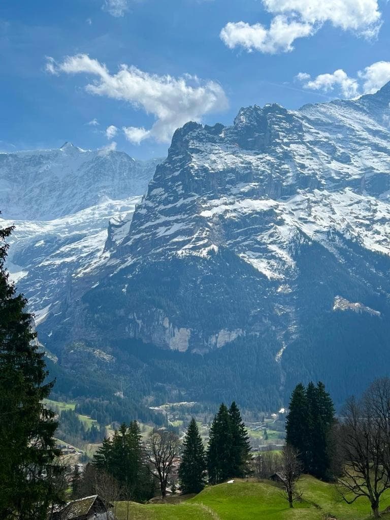 Eiger View Alpine Lodge photo 9