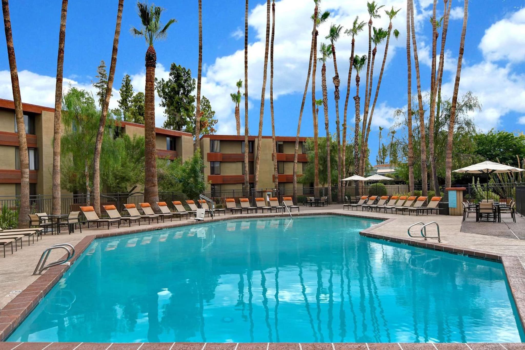 DoubleTree by Hilton Phoenix- Tempe photo 3