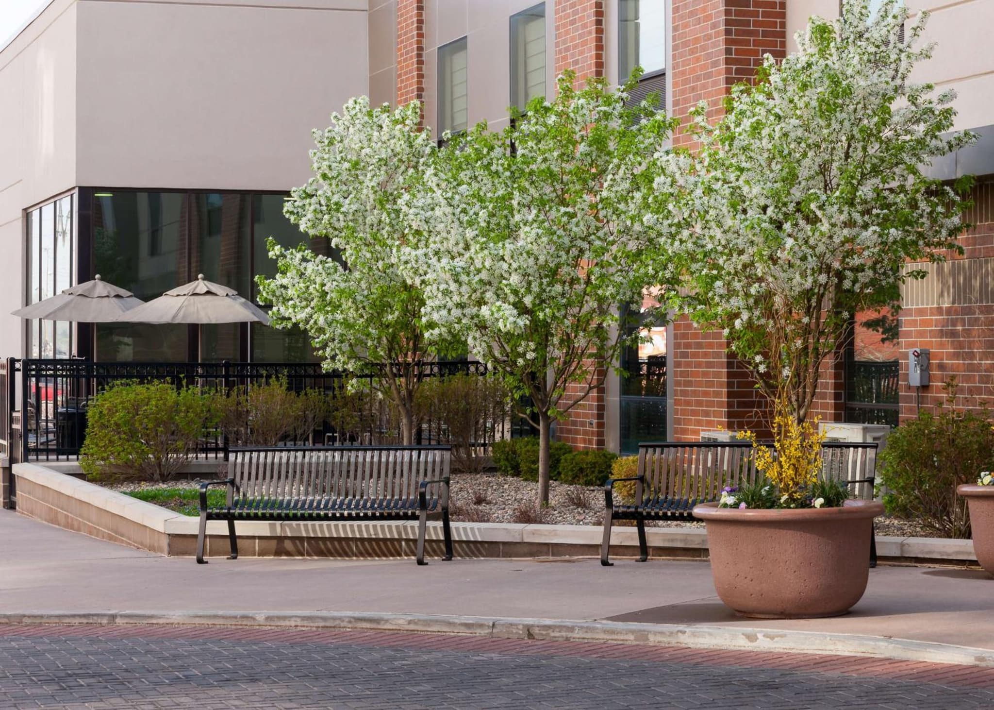 Hampton Inn & Suites Omaha-Downtown photo 4