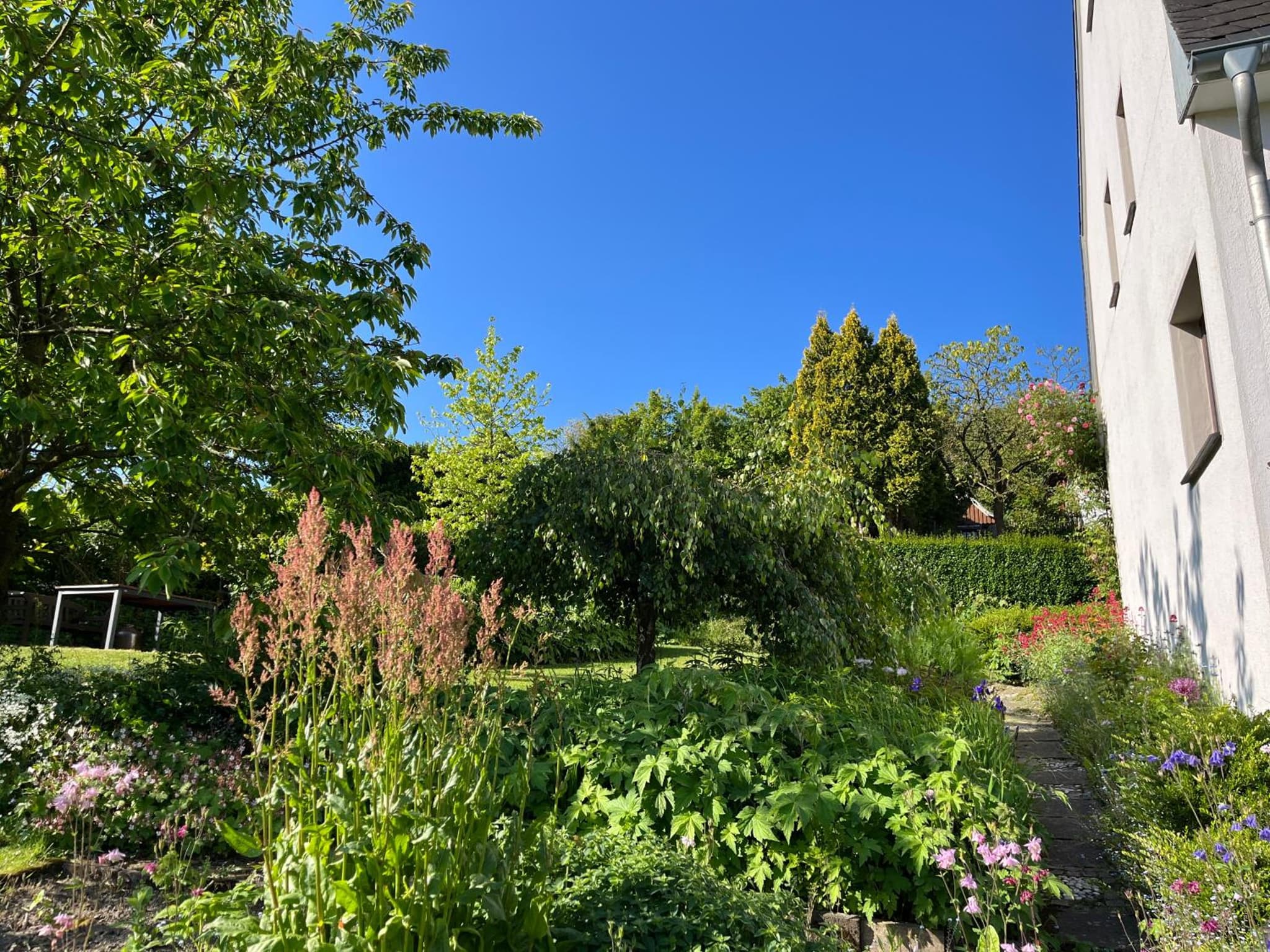 Ferienhaus Brinker Bleibe photo 5