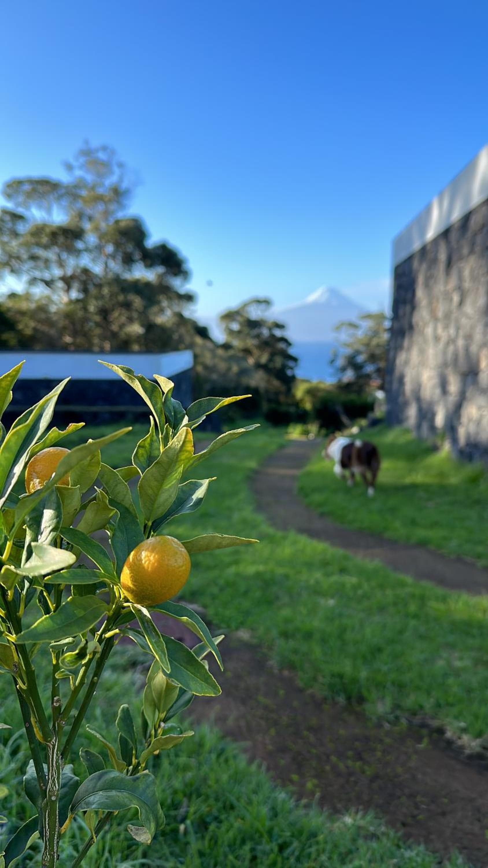 Make it Happen Farm photo 3