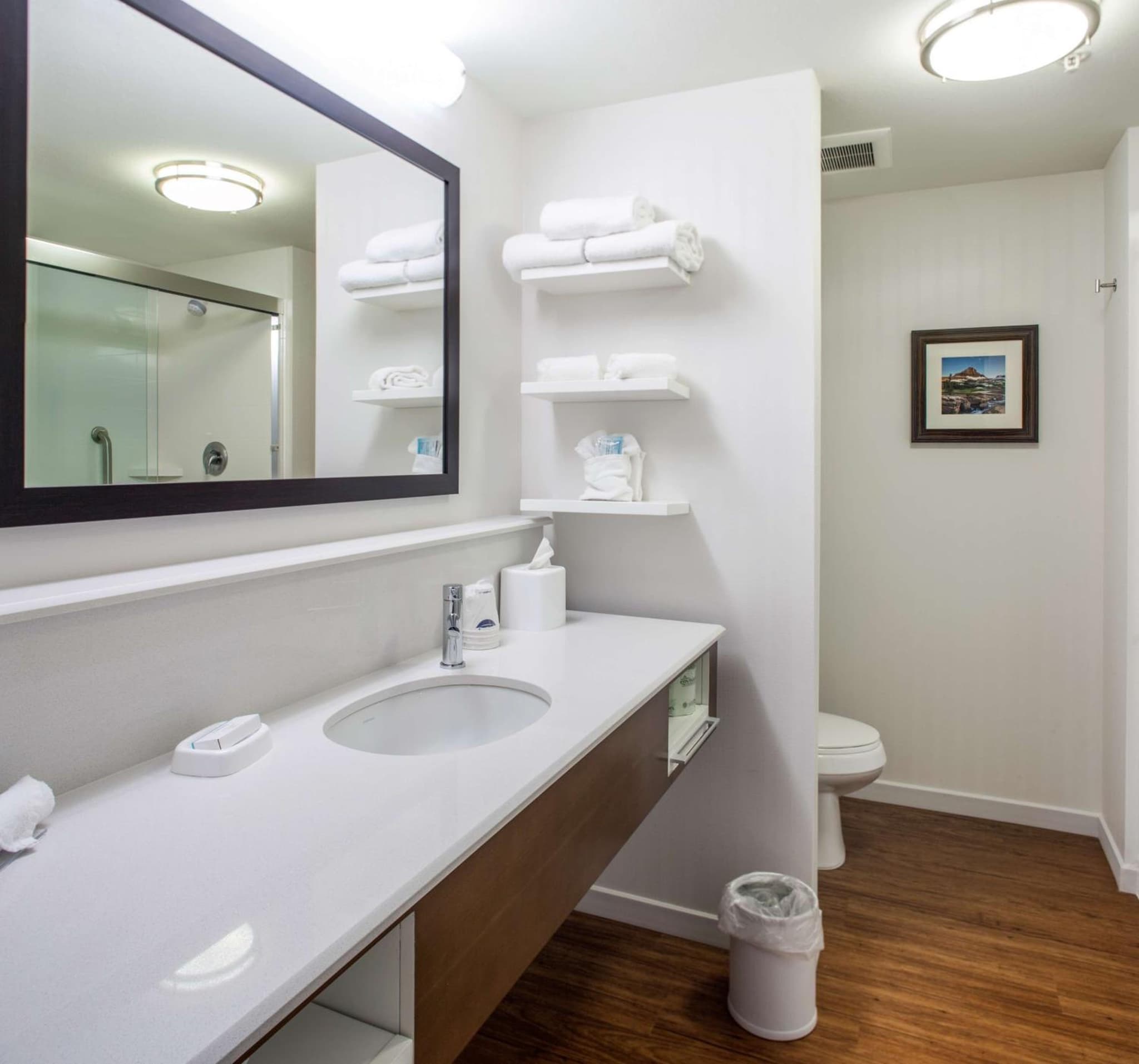 Hampton Inn & Suites Whitefish photo 8