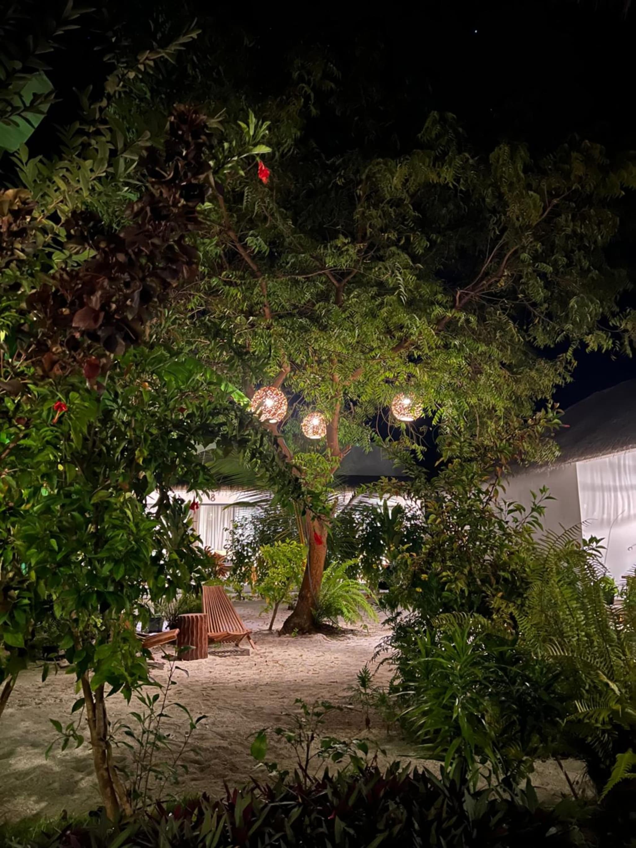 Coco Villa photo 9