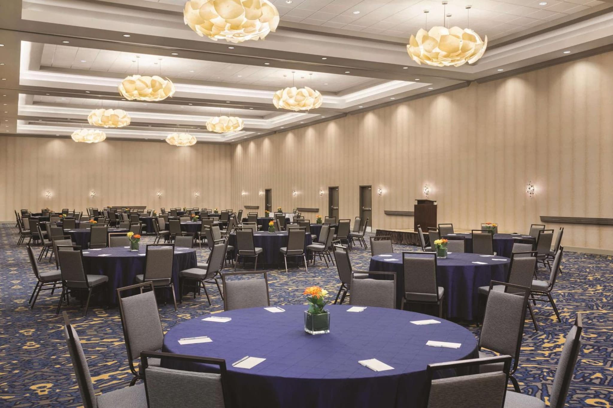 Embassy Suites by Hilton McAllen Convention Center photo 5