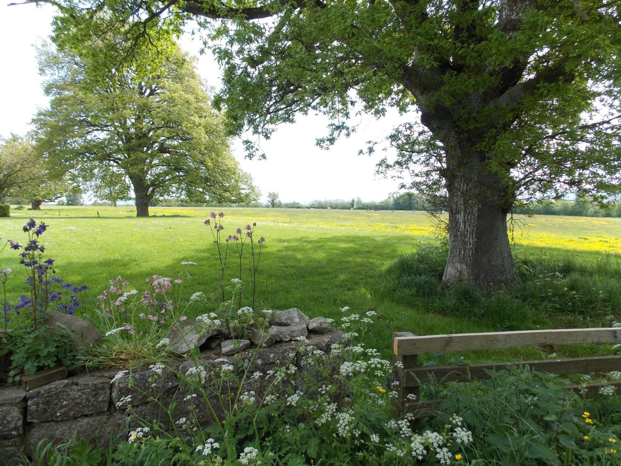Ash Hill B & B photo 5
