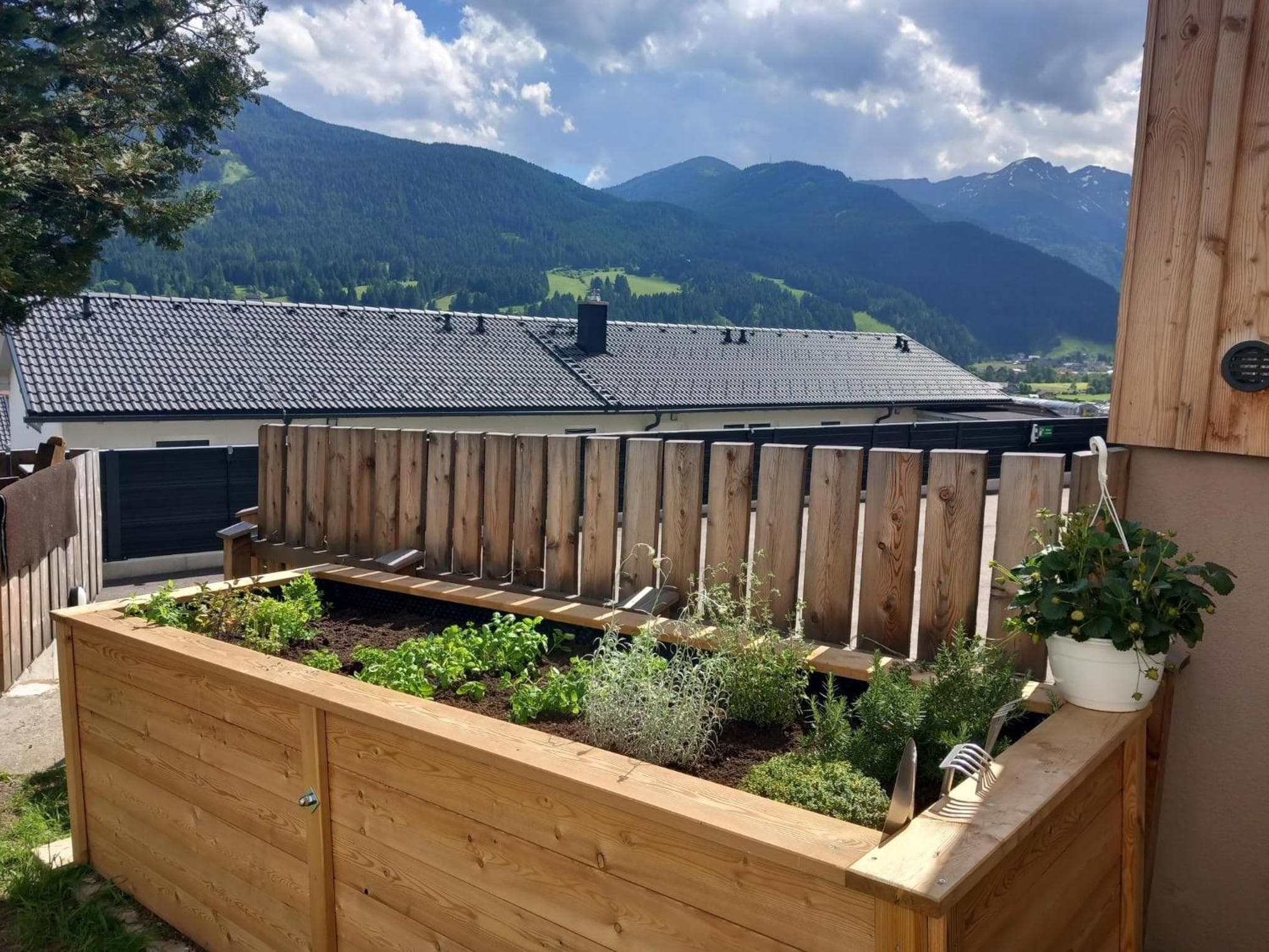 Stoagas Waidblick photo 3