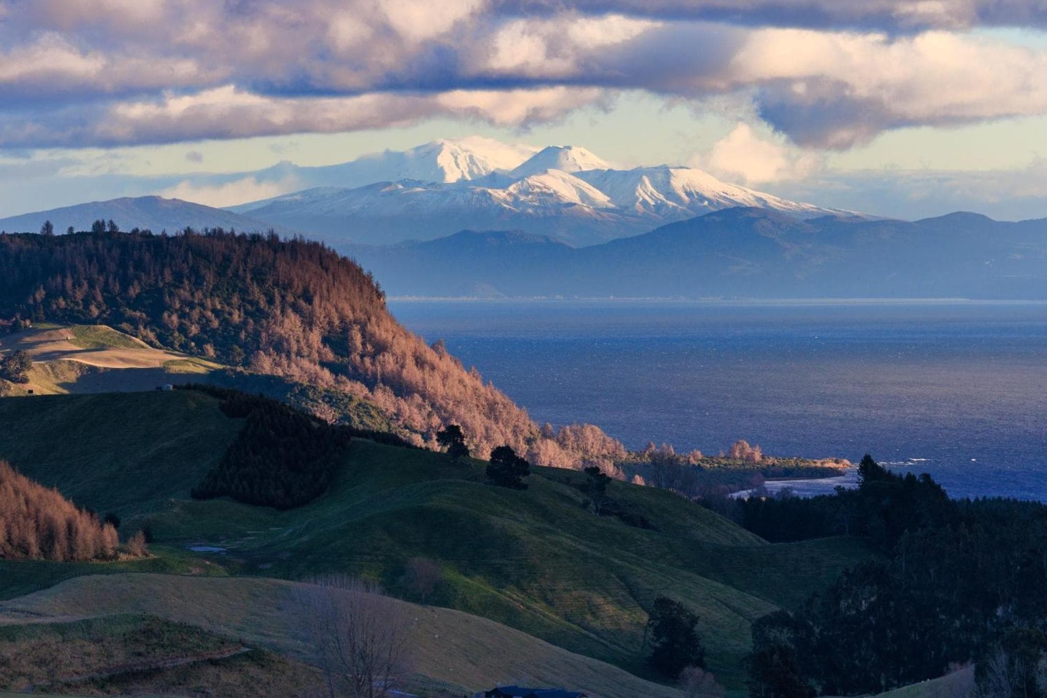 Hilltop Whakaipo Estate photo 4