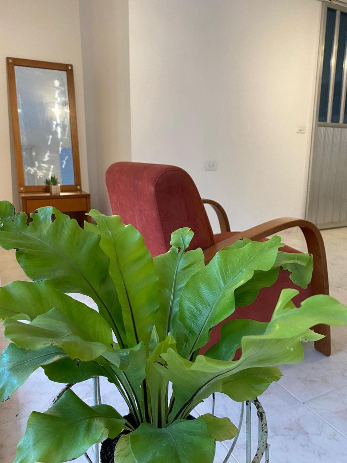 Casa Verbena photo 4