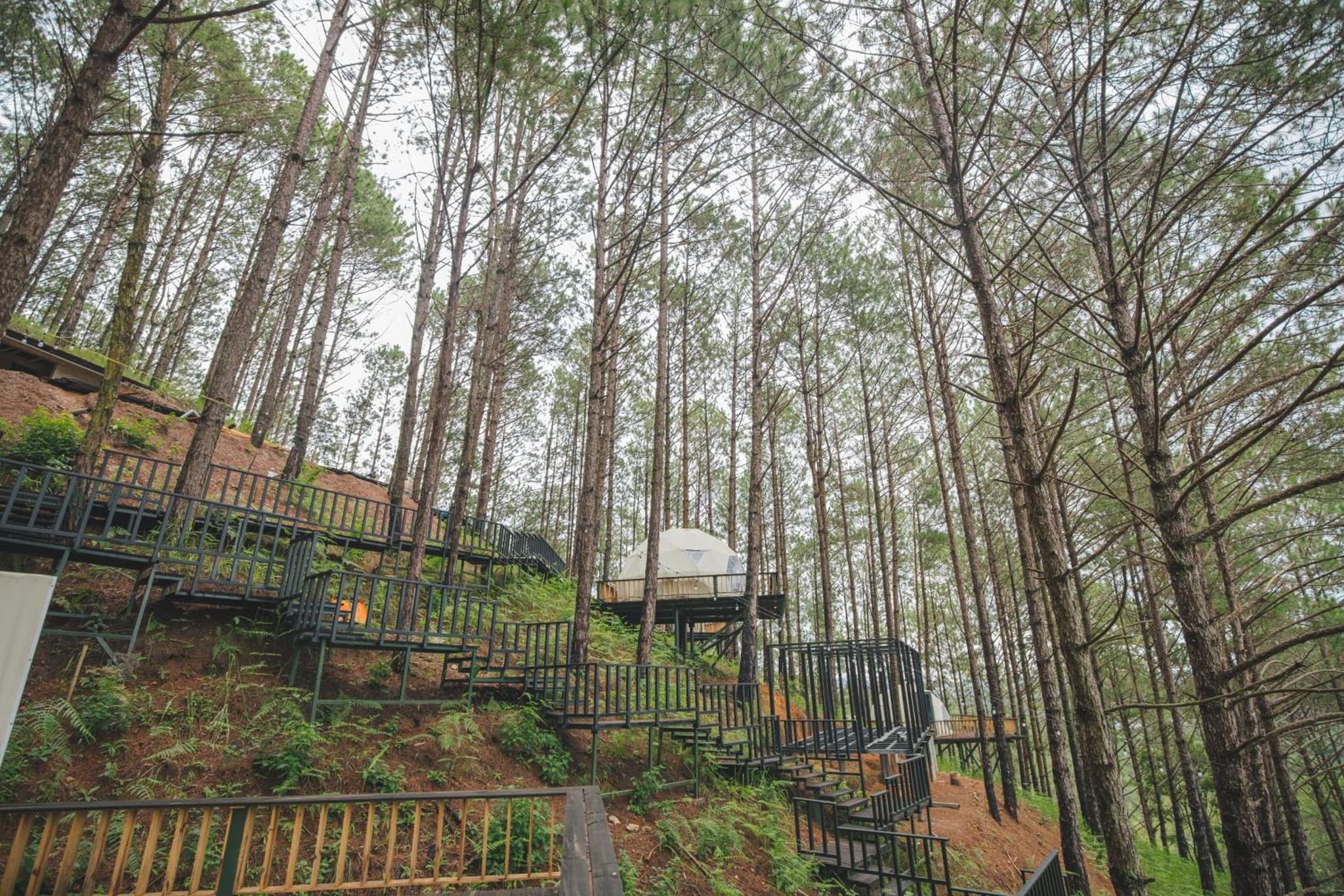 Lavender Dalat Resort & Glamping photo 8