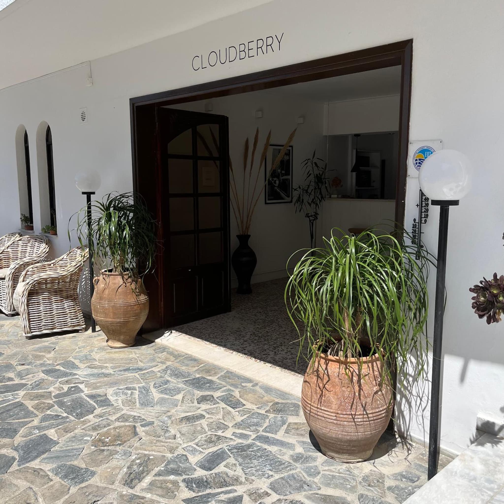 Cloudberry photo 2