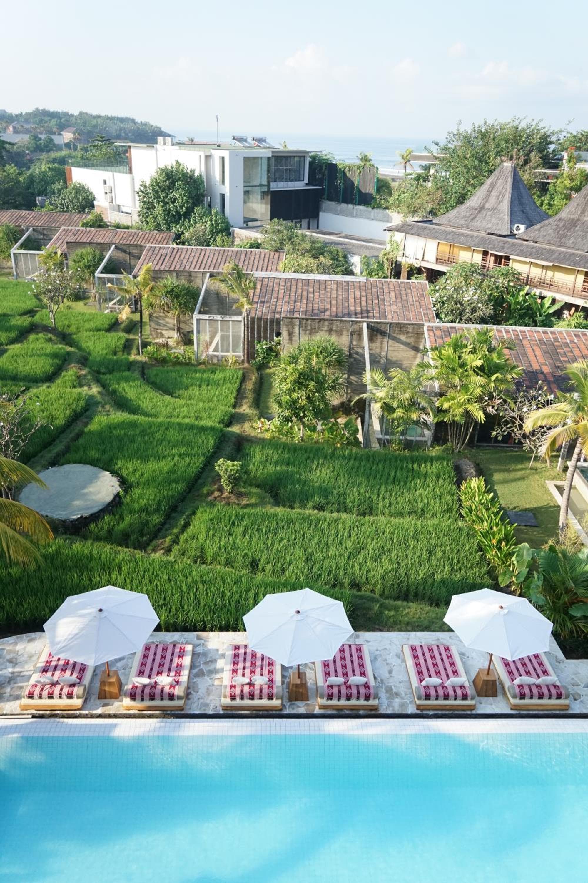 Shore Amora Canggu photo 8