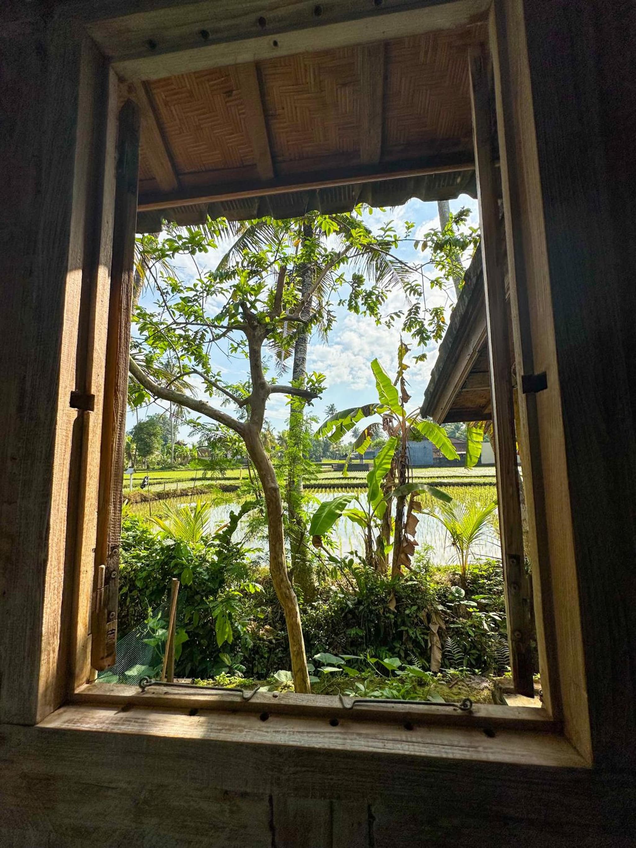 Nunu Bali Eco Friendly Retreat photo 5
