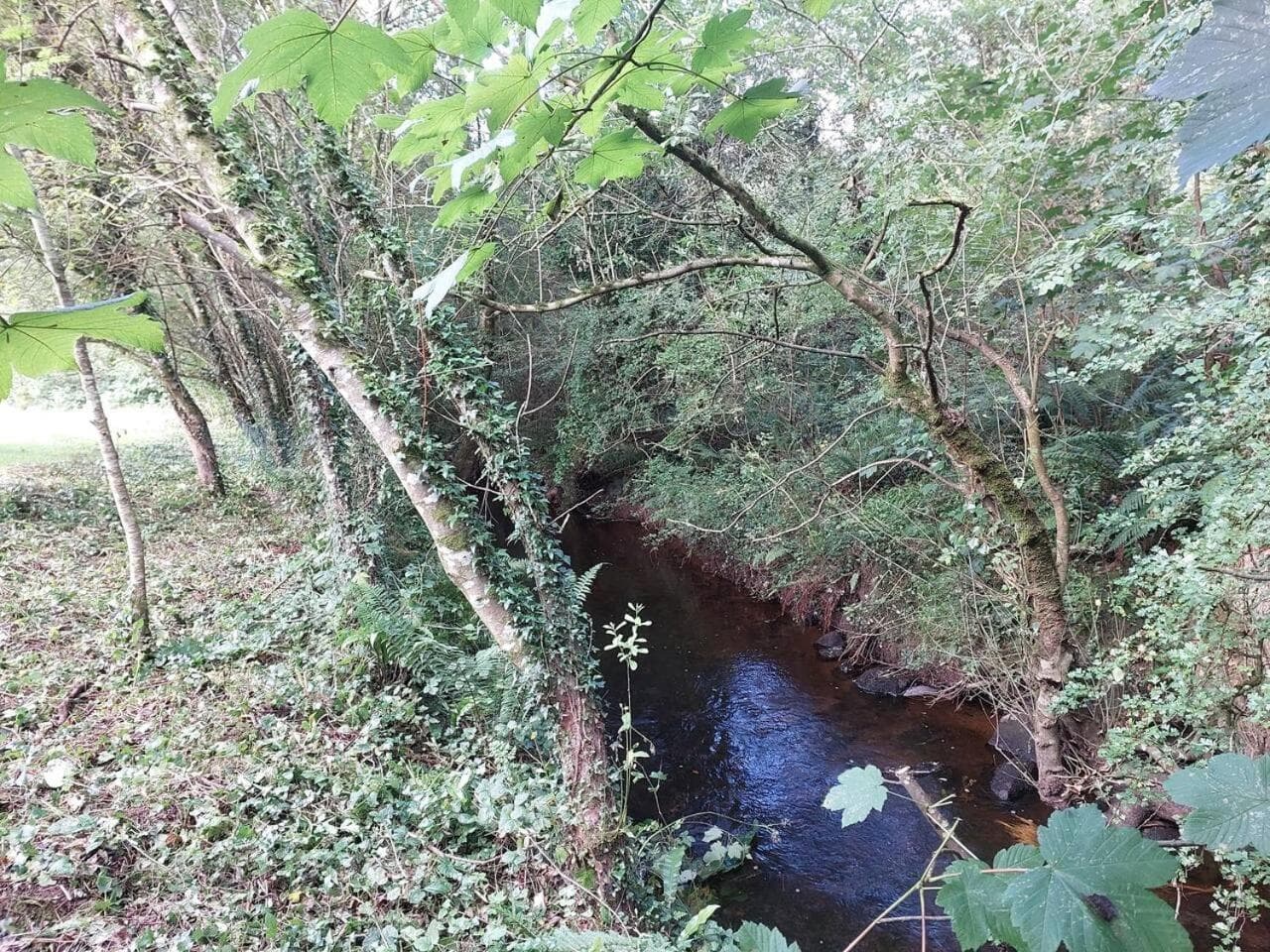 Home in Ennis photo 4