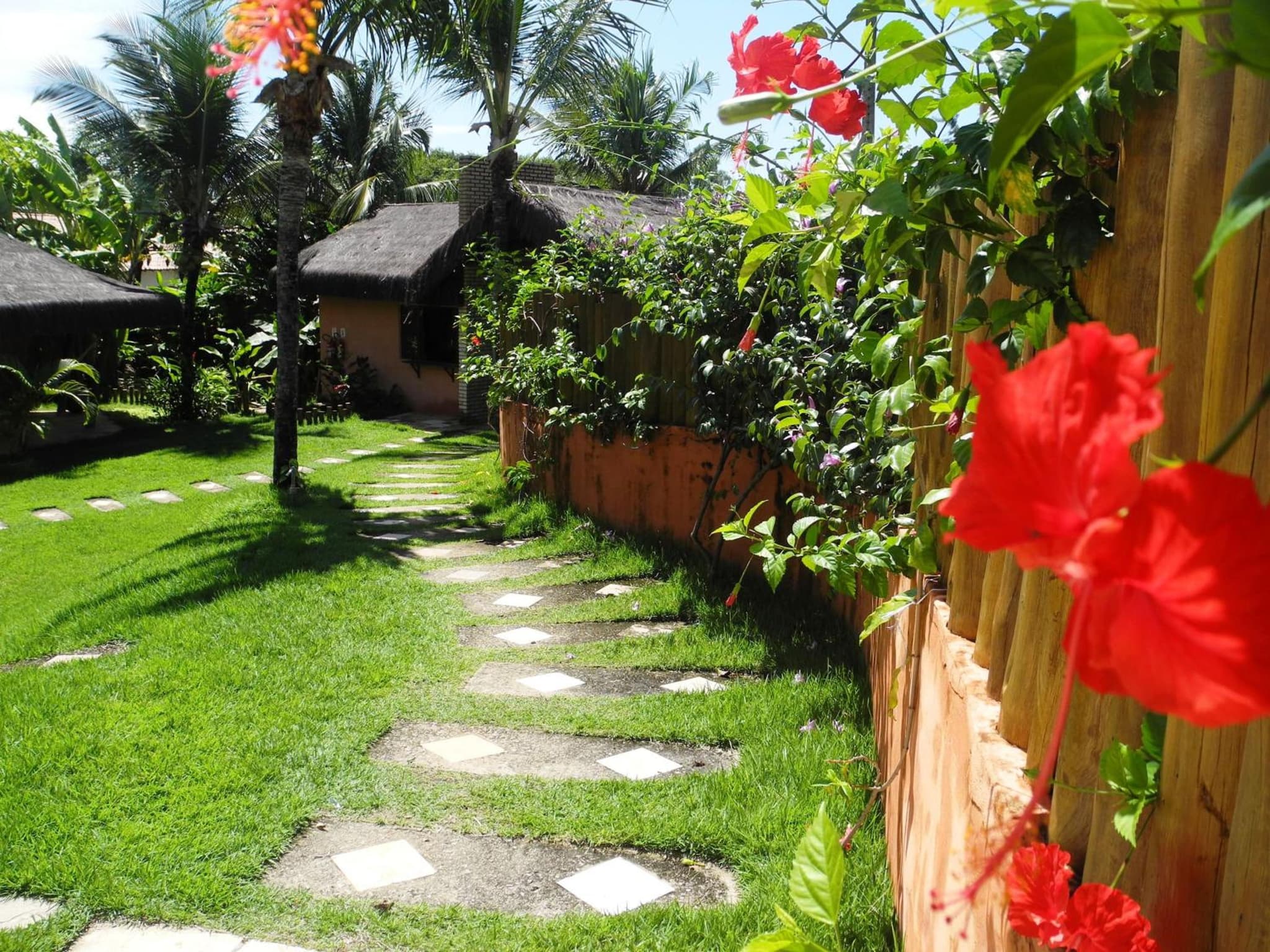 Pipa Park photo 9