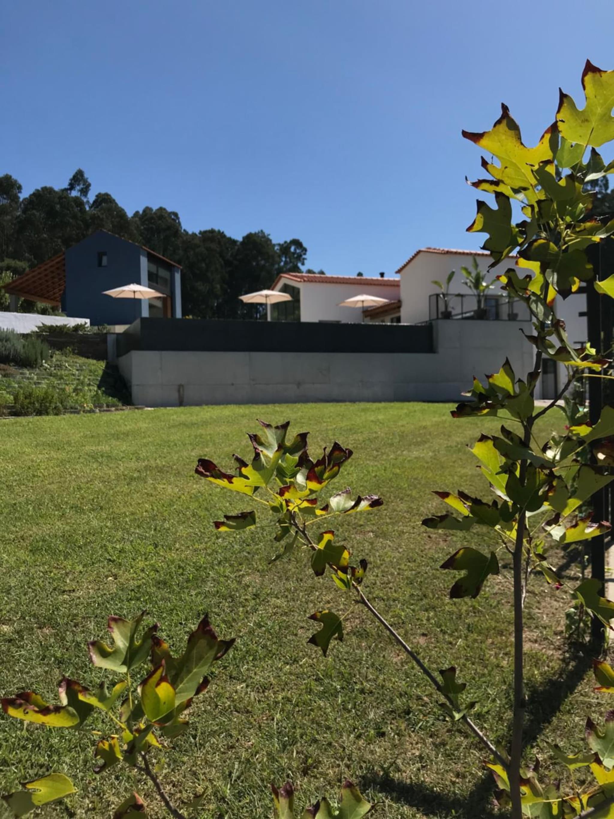 Casa da Milheira - Agroturismo photo 3