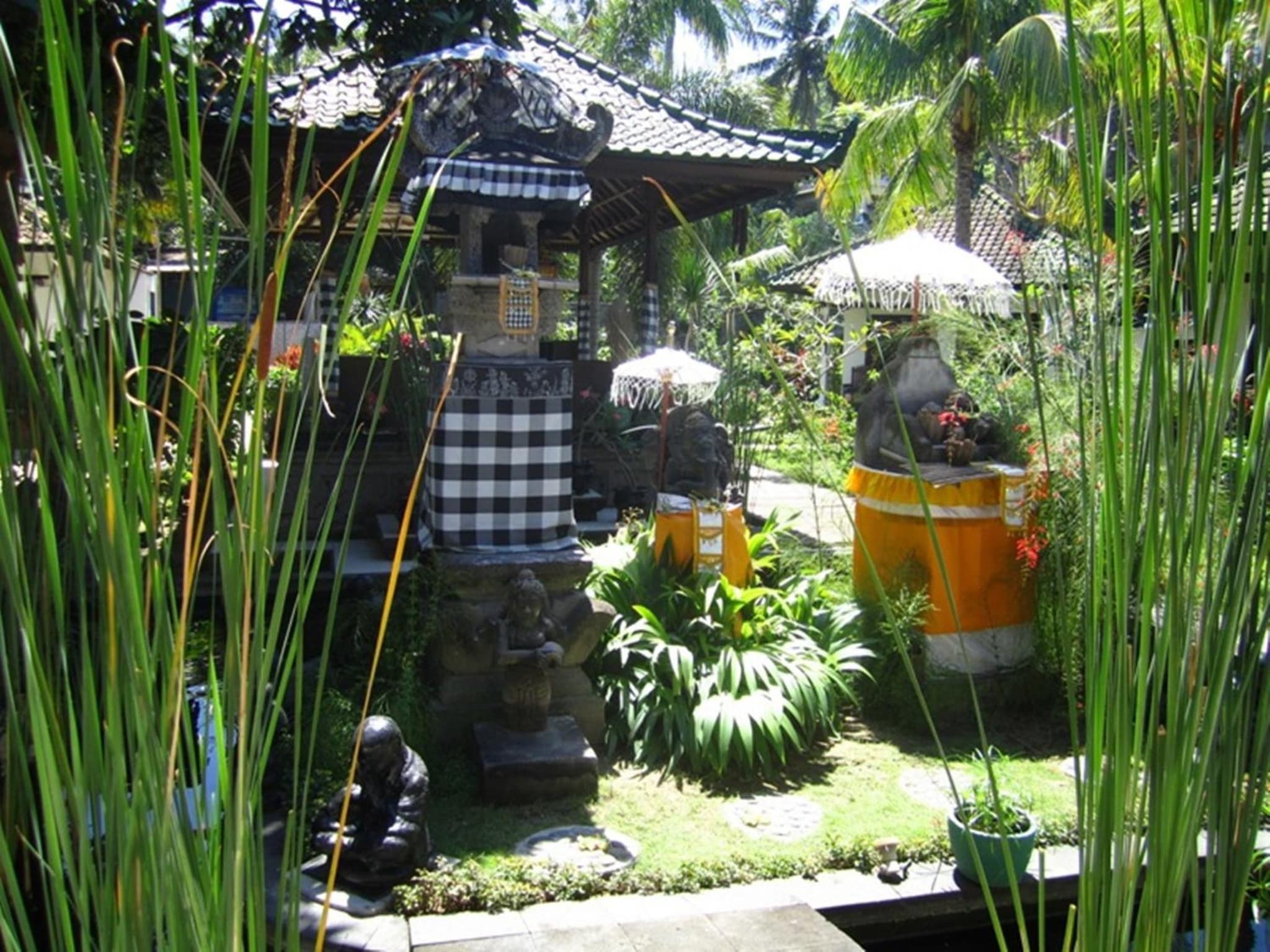 Absolute Scuba Bali Dive Resort photo 6
