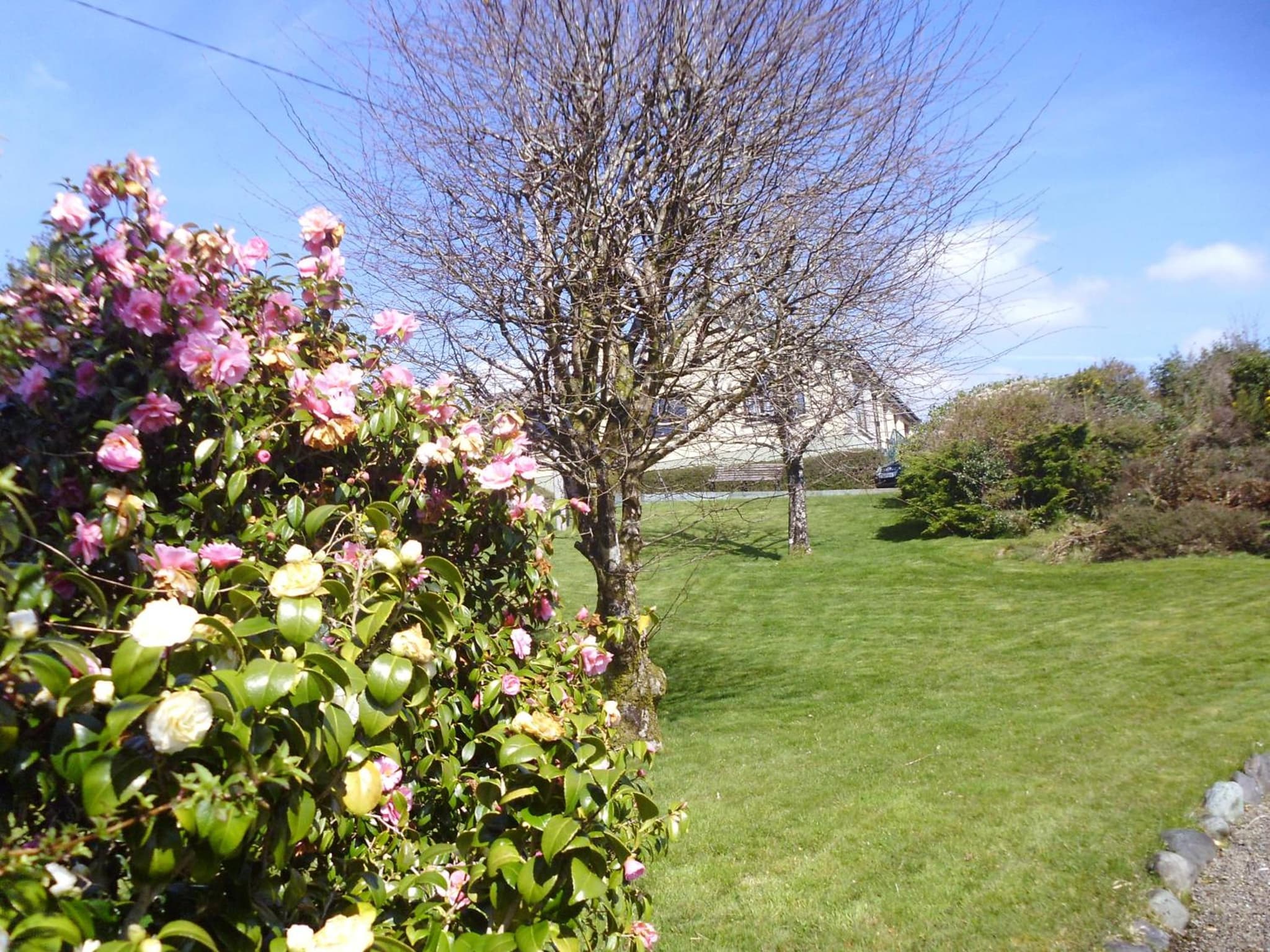 Hillside Haven photo 8
